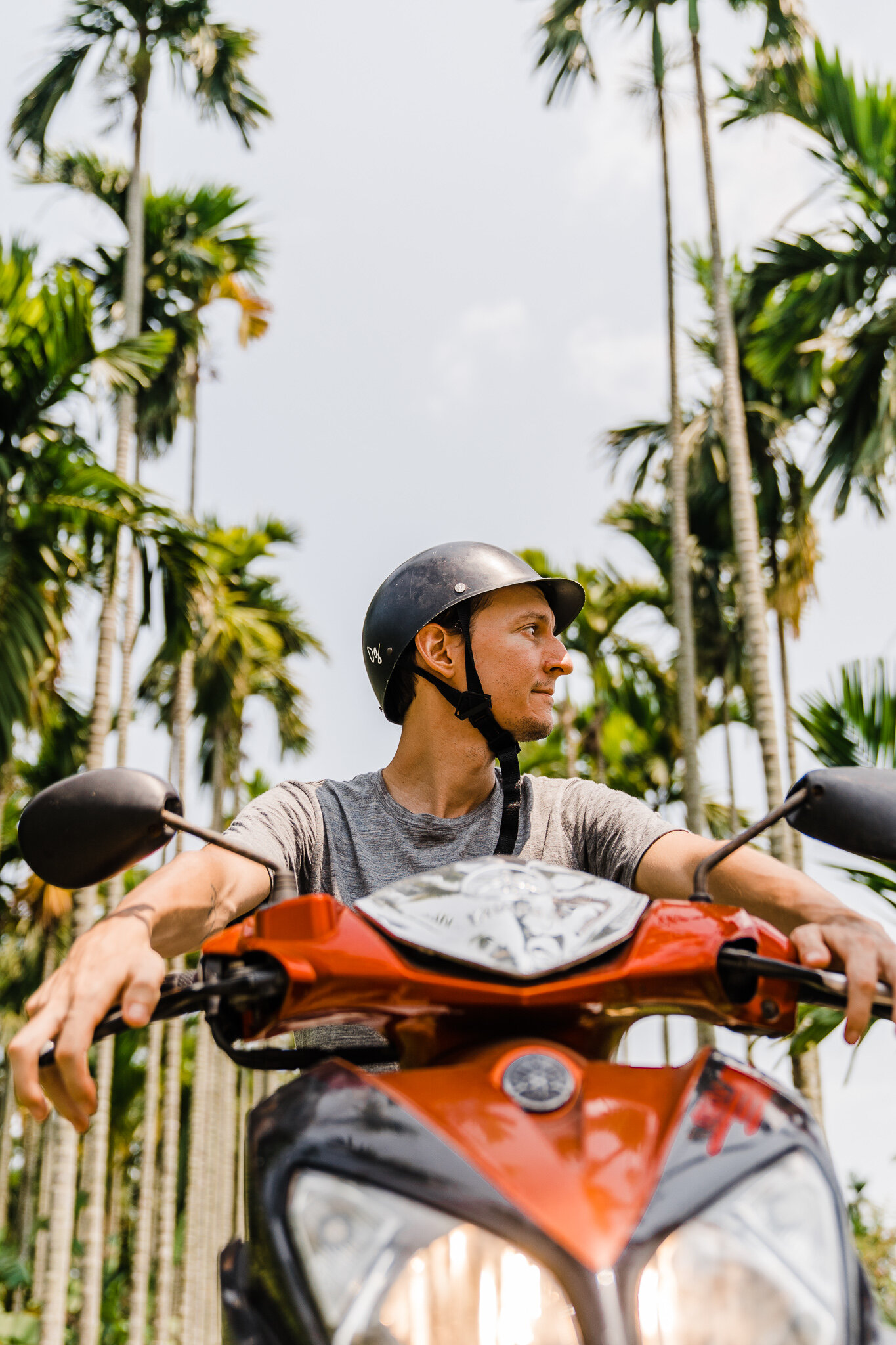 alex mj blogue permis international à Bali route Alex scooter palmiers Vietnam.jpg