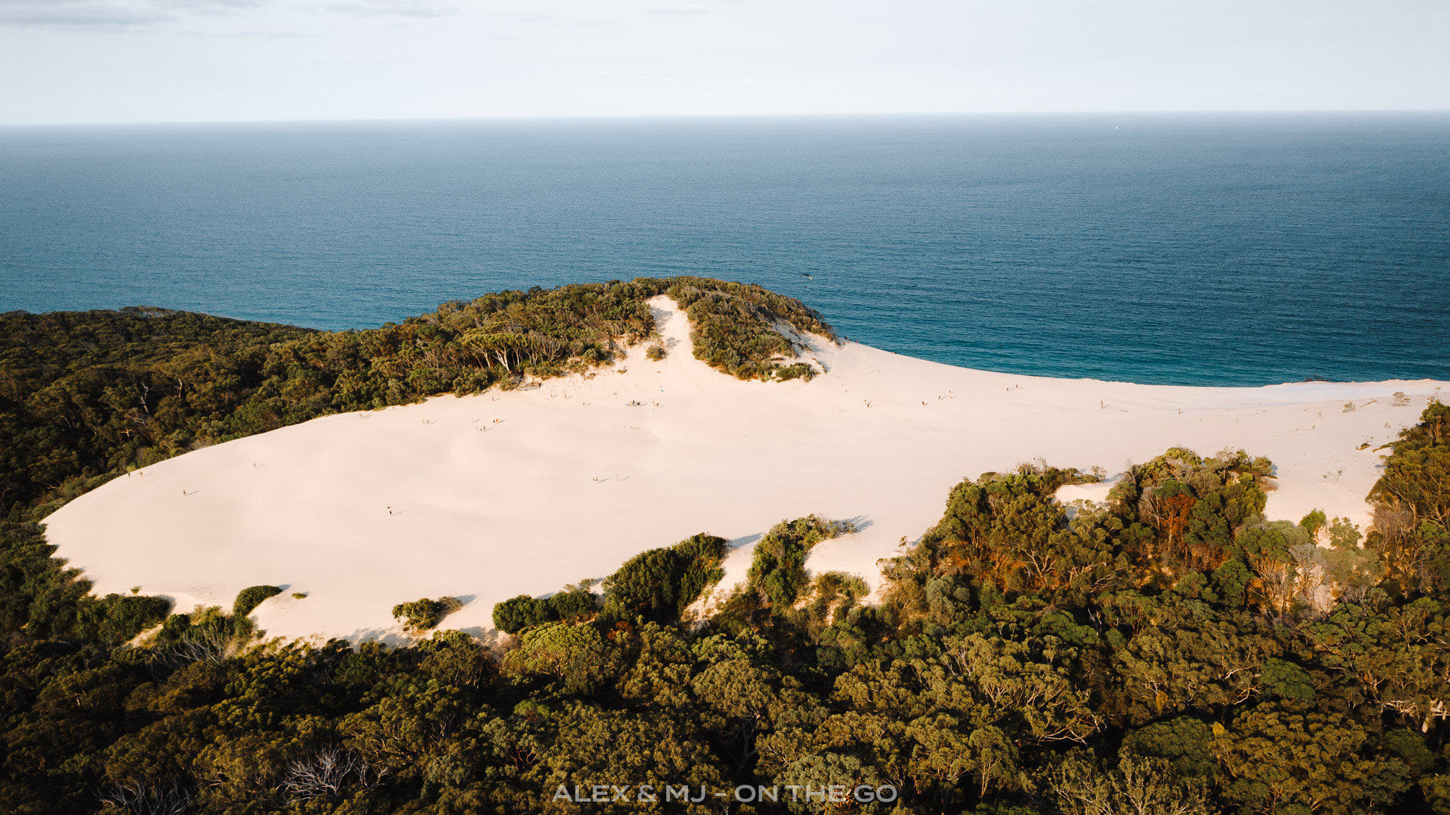 Alex-MJ-On-the-GO-Australie-Fraser-coast-carlos-sand-blow-dunes-entre-les-arbres.jpg