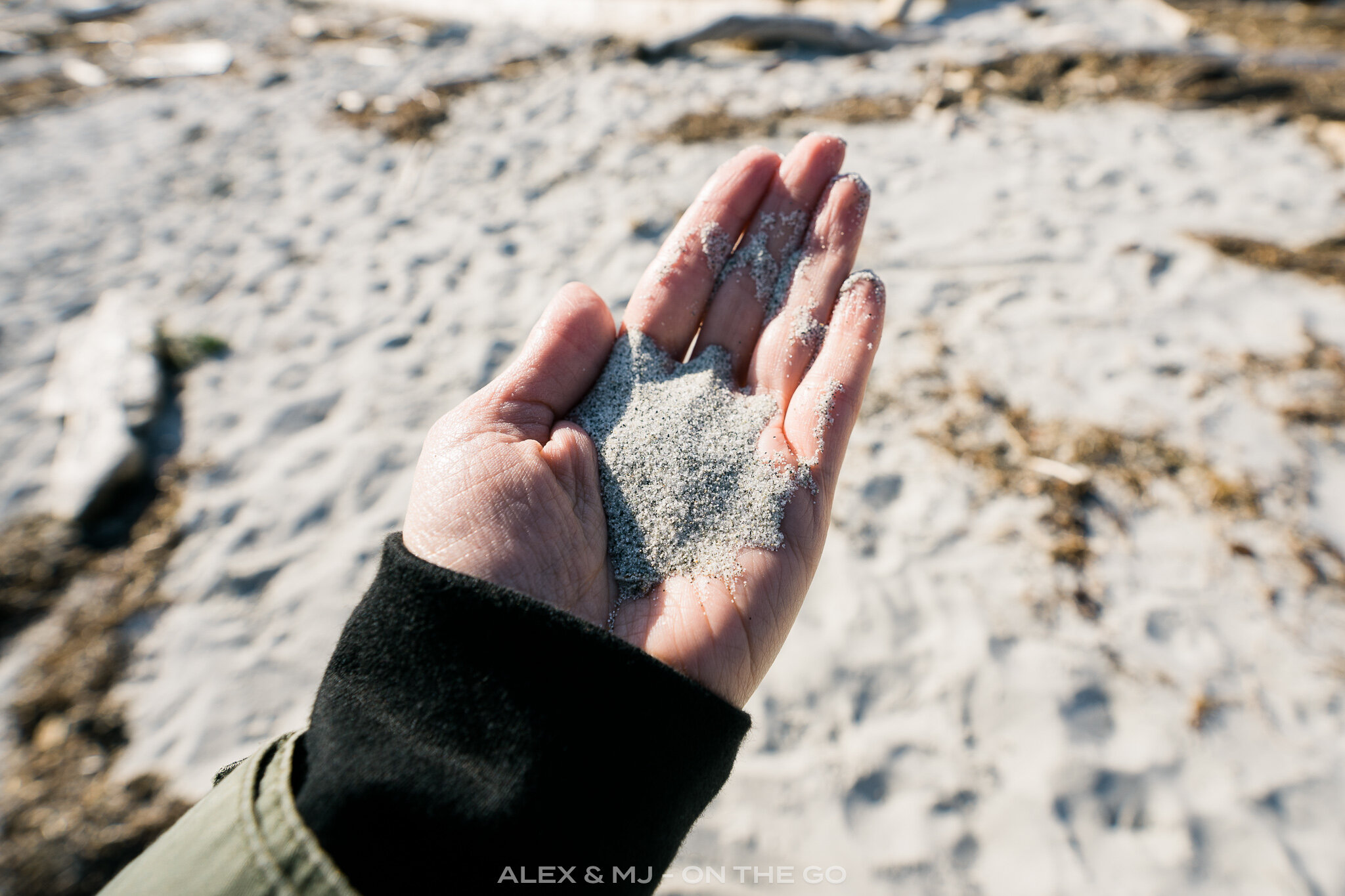 Alex-MJ-On-the-GO-Denman-Hornby-plage-tribune-bay-sable-blanc.jpg