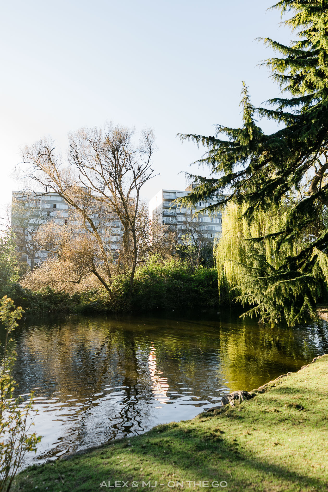 Alex-MJ-On-the-GO-Blogue_4_destination_ile_vancouver_Beacon_hill_park.jpg