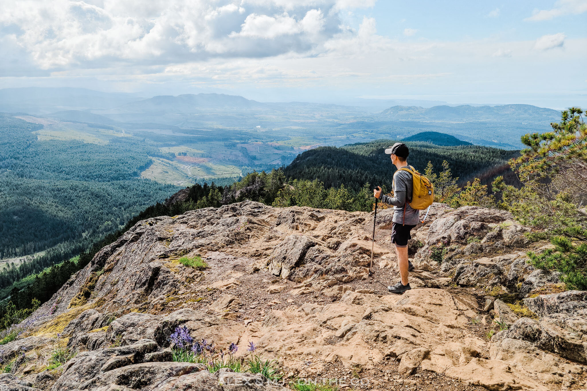 Alex-MJ-On-the-GO_Nanaimo_Mount_Benson-Regional_Park_vue.jpg