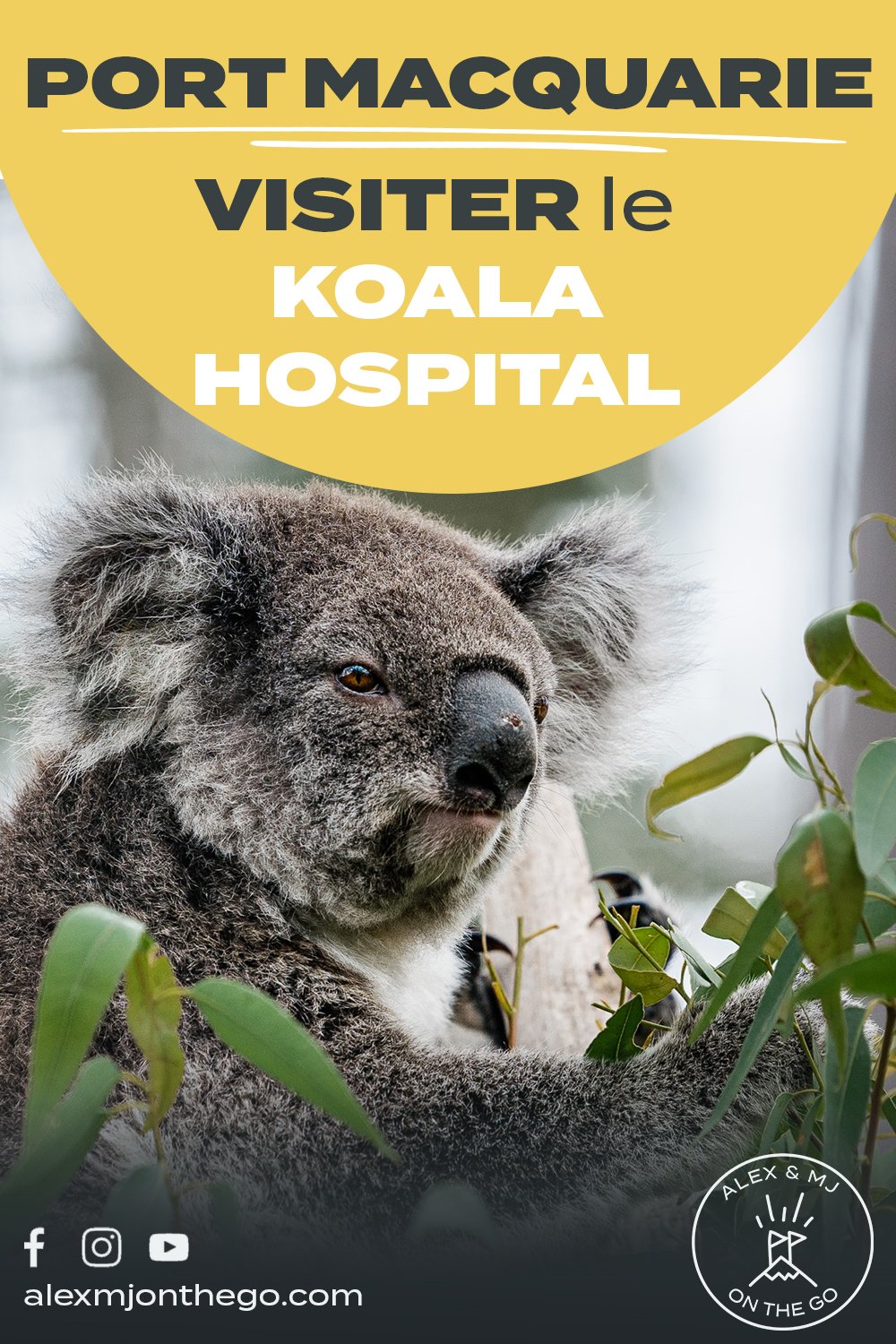 Koala Hospital.jpg