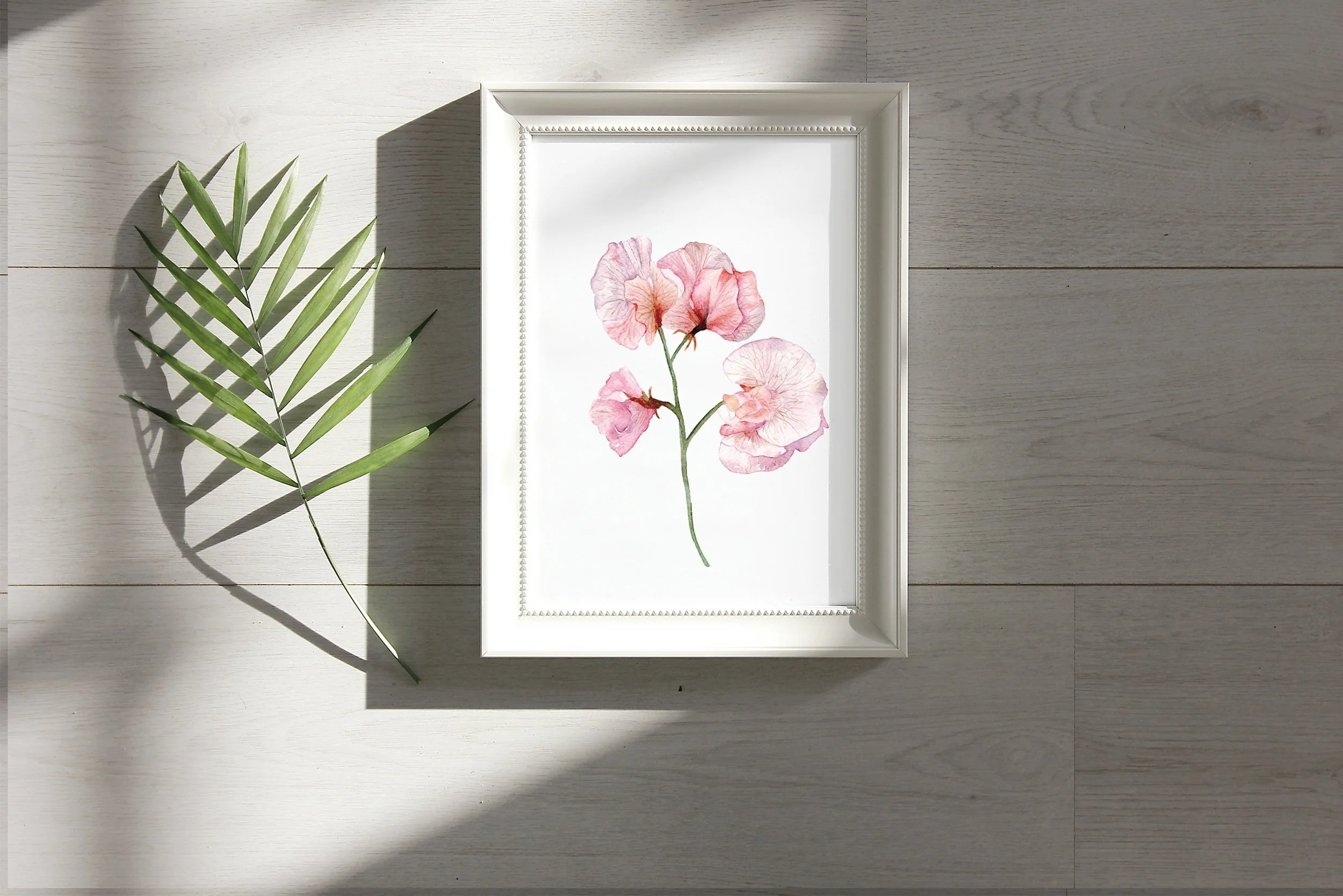 watercolor print / sweet pea