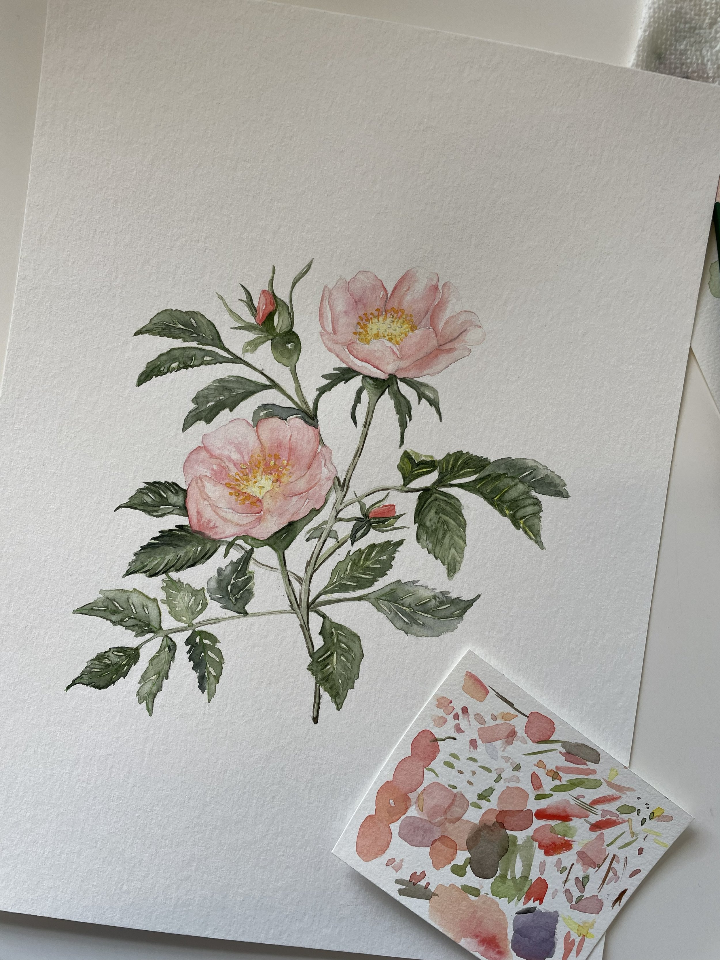 New Art made in April: Wild Roses, Peaches, and Freesia — A Mediterranean‑Inspired Watercolor Collection