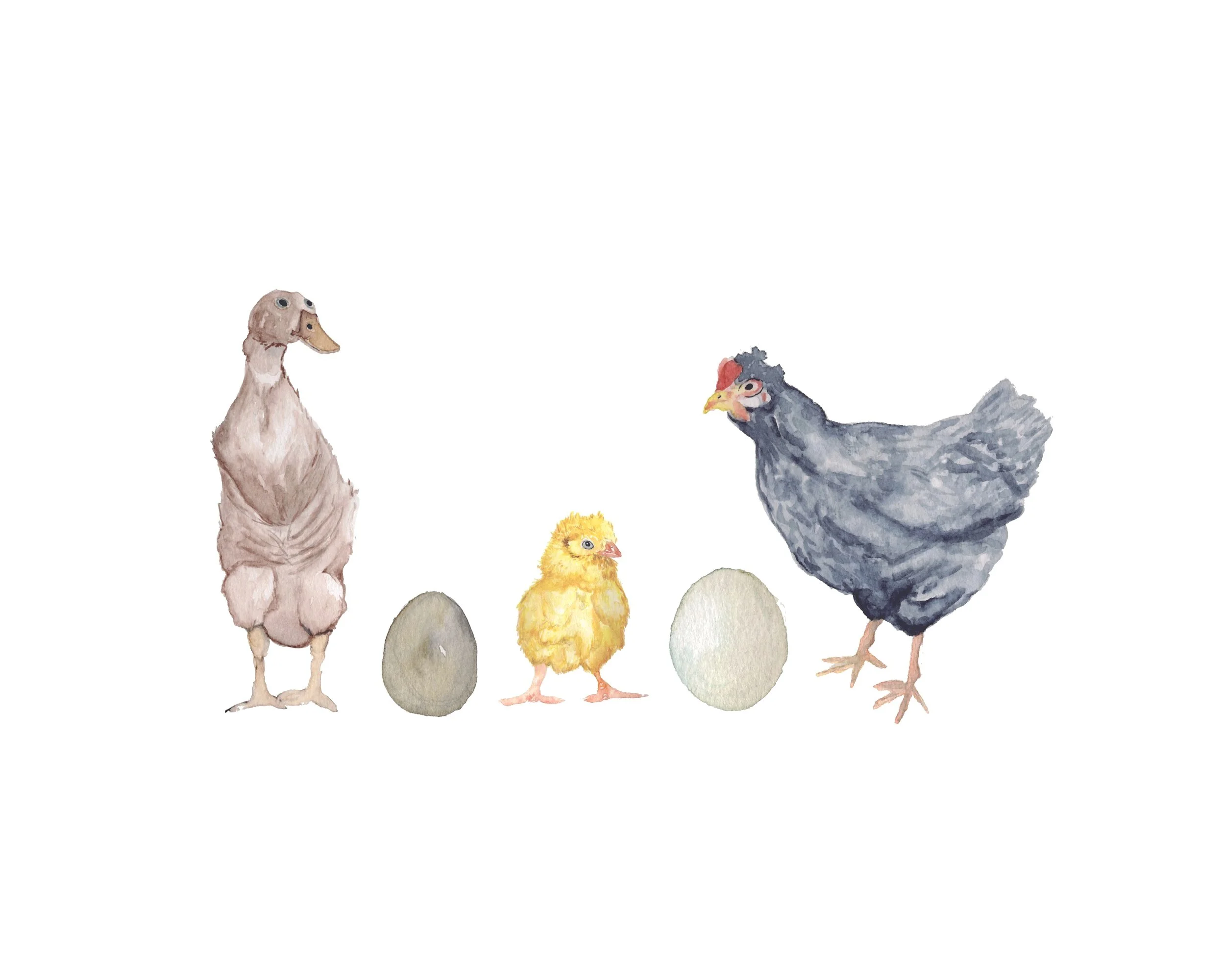 Spring animals portrait ~ art print