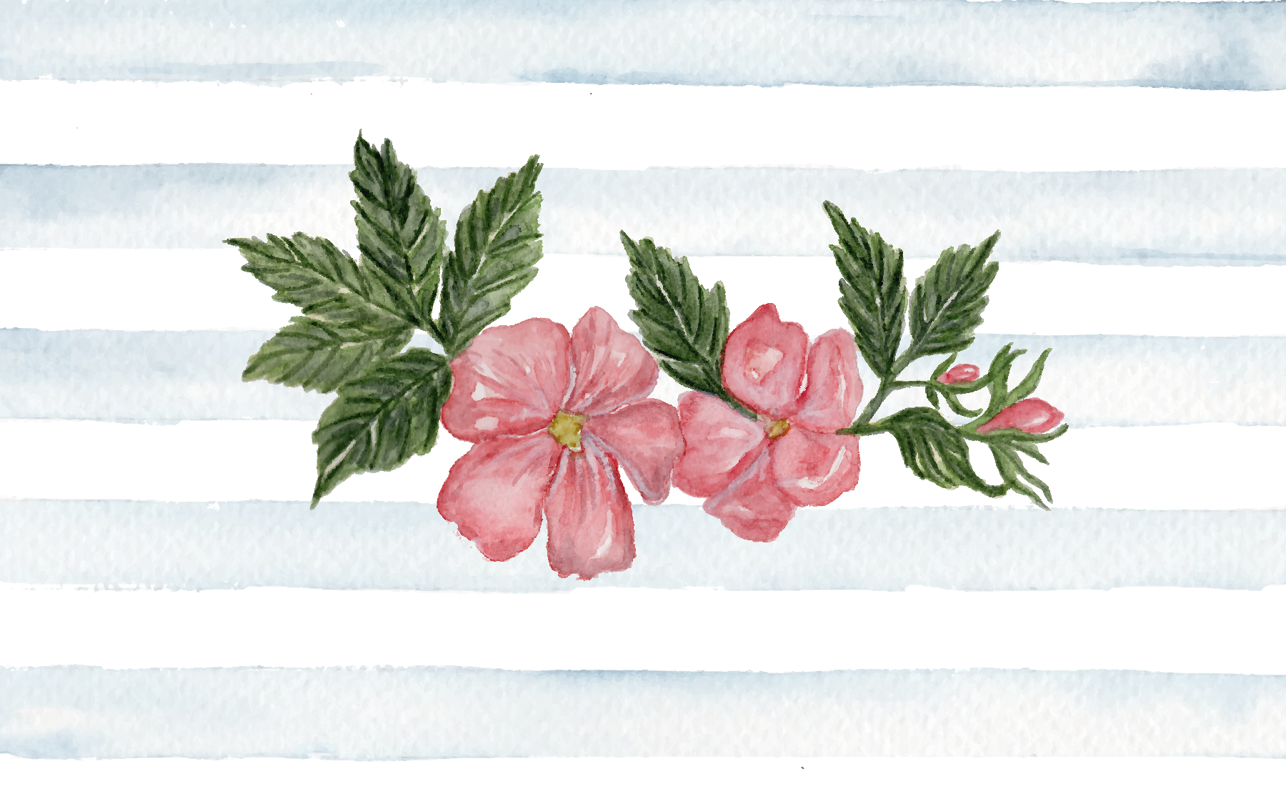 Wild+rose+greeting+card.png