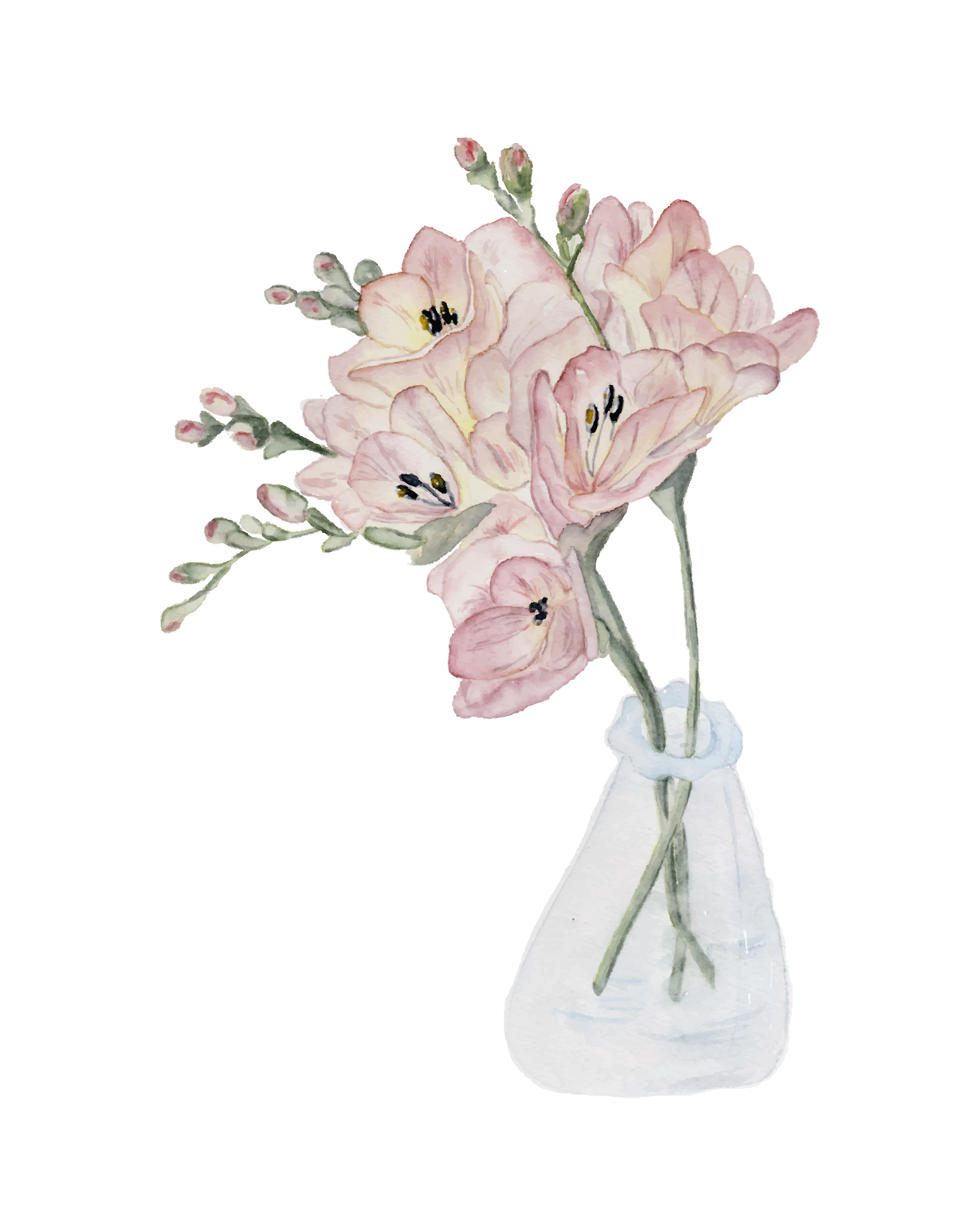 StudioReta_Fresias_8x10.png