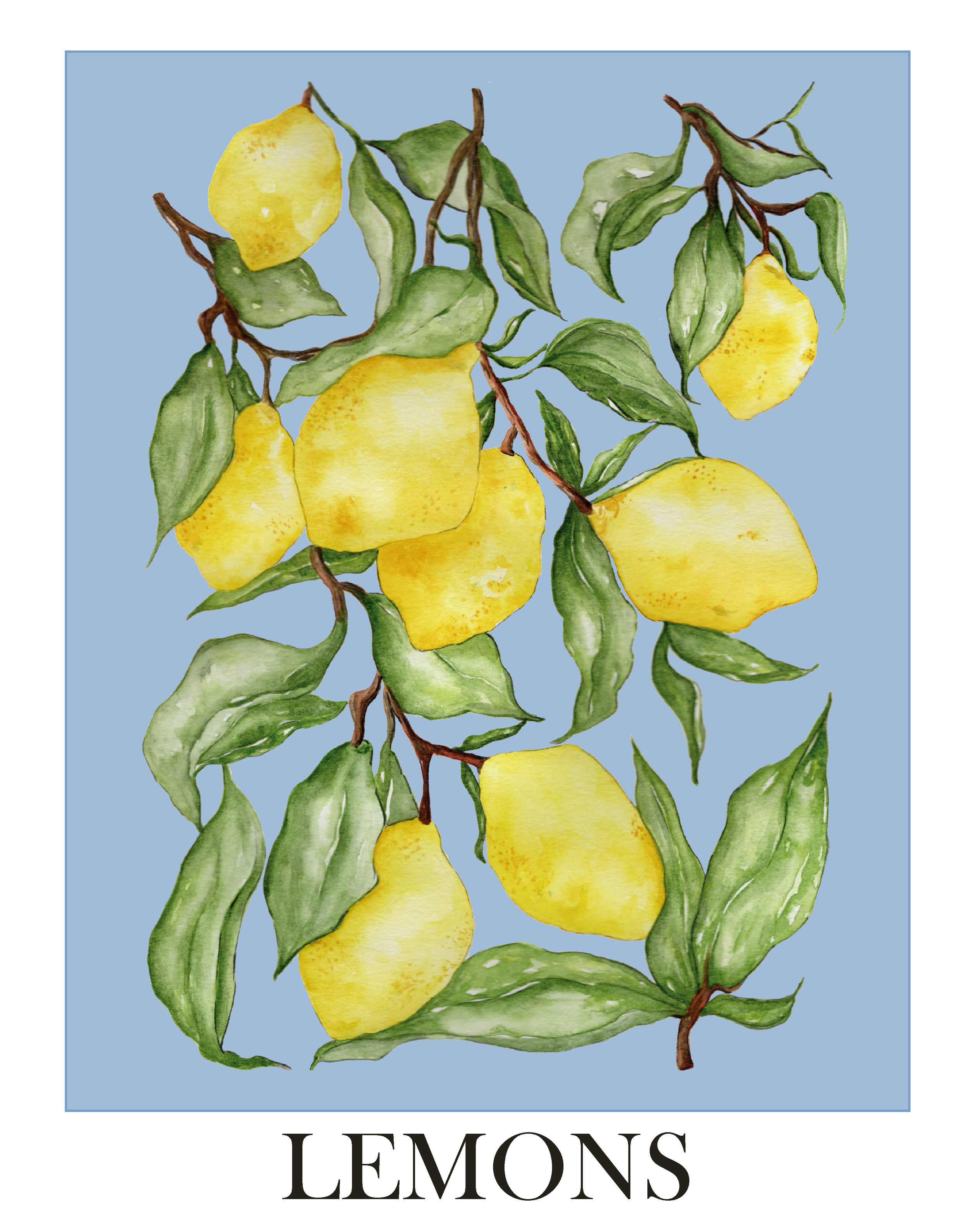 Lemons ~ fine art print