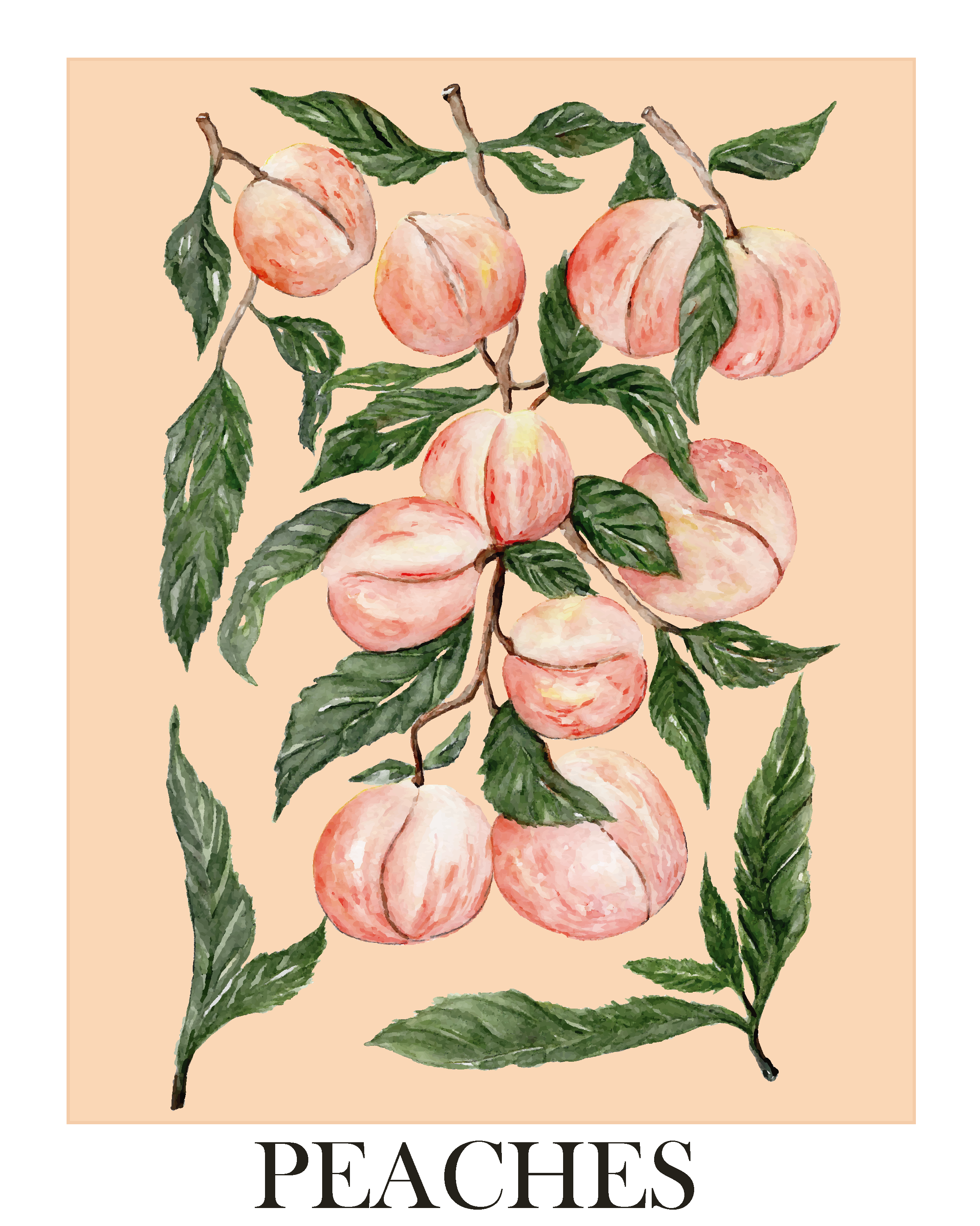 StudioReta_Peaches 8x10.png