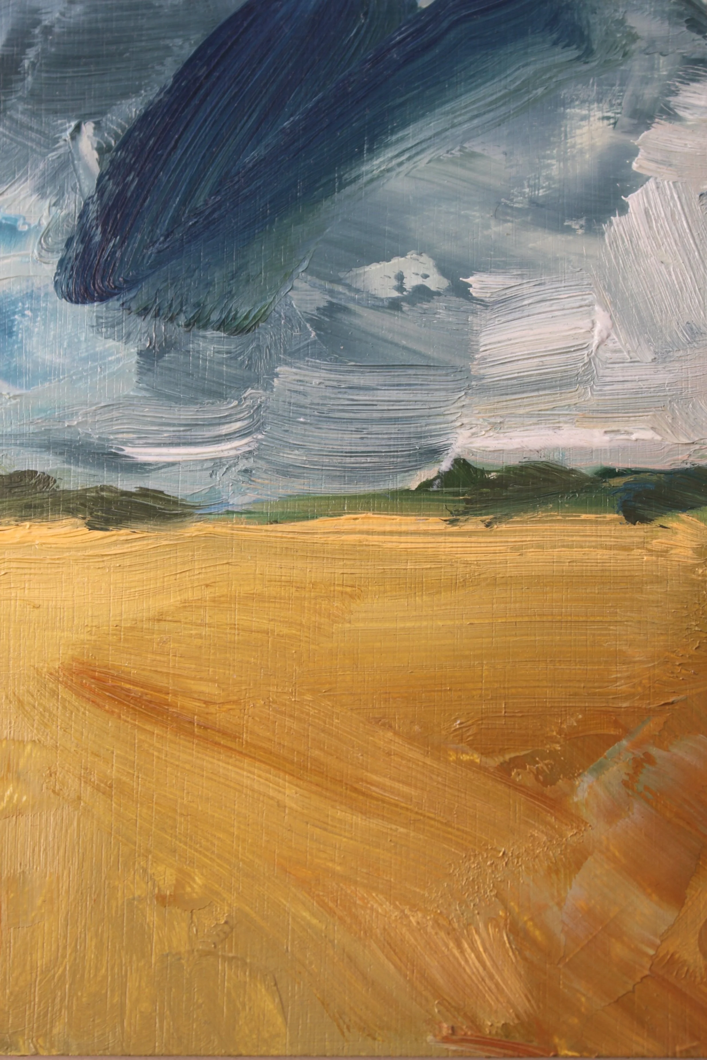 Rain cloud over ochre field