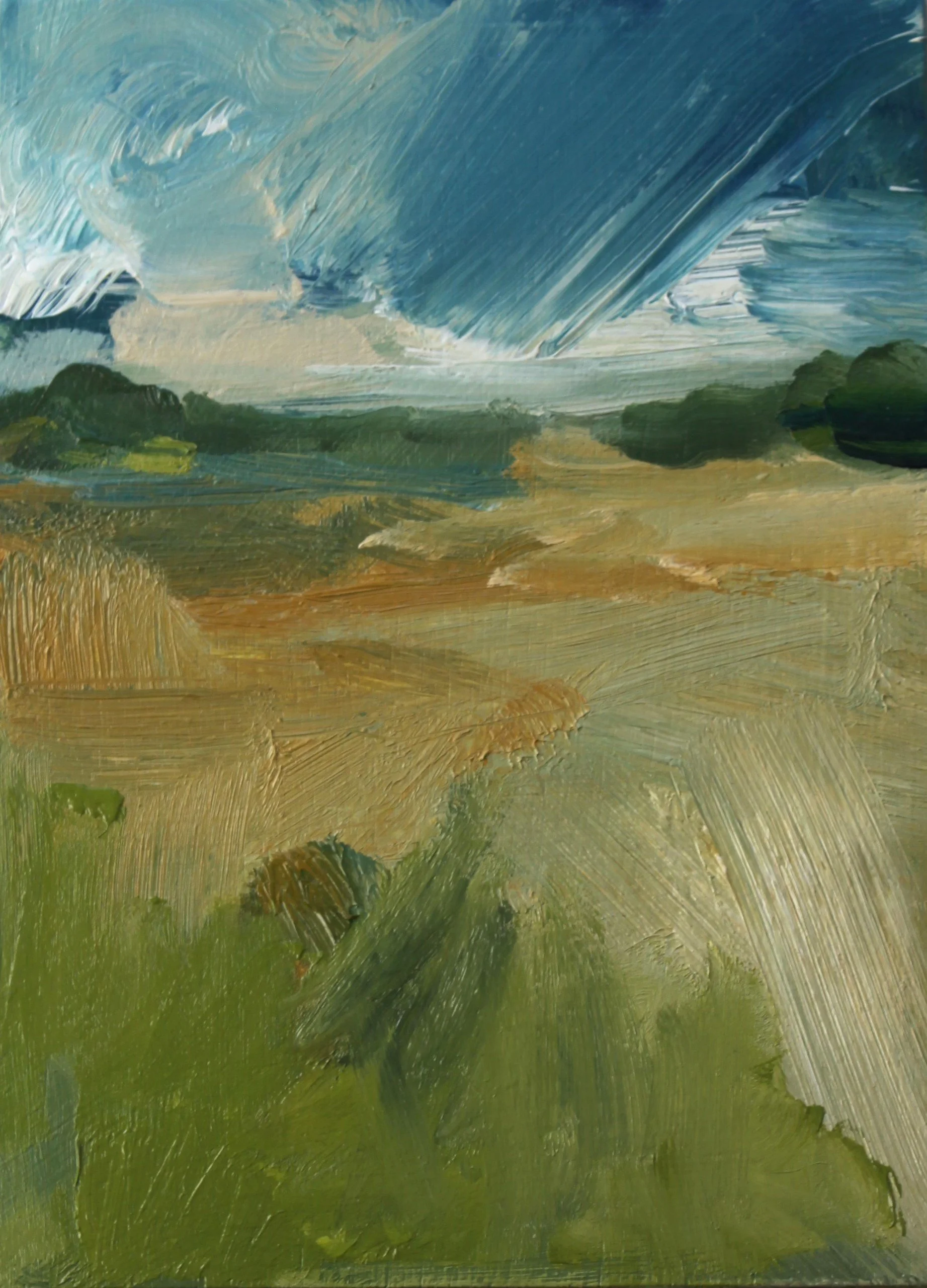 After the rain shower