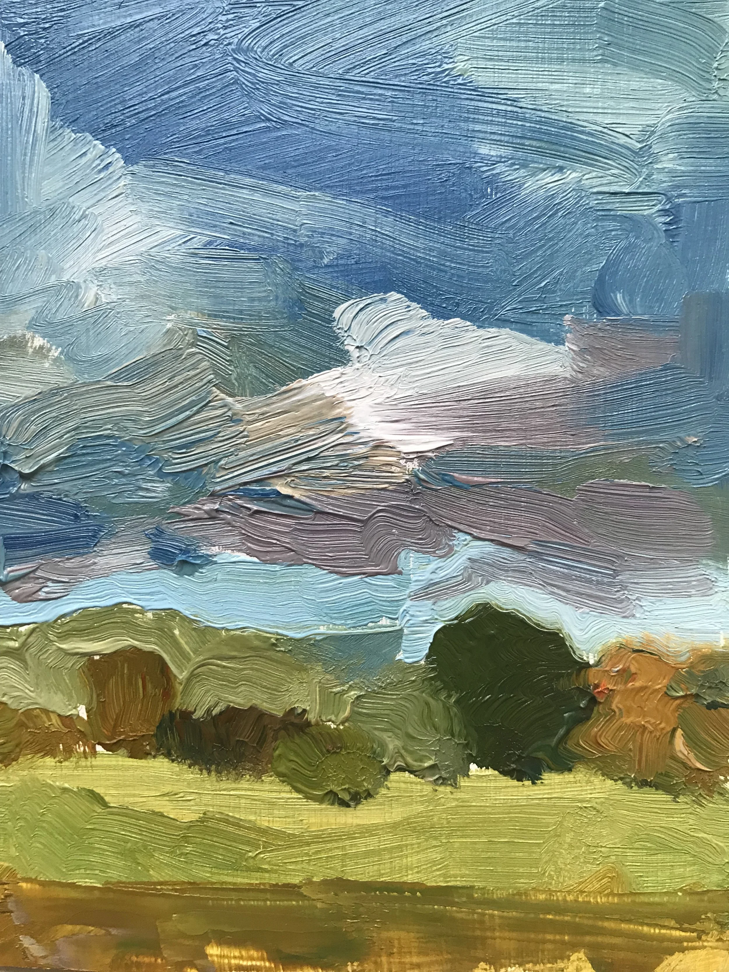 Autumn in the hedgerows
