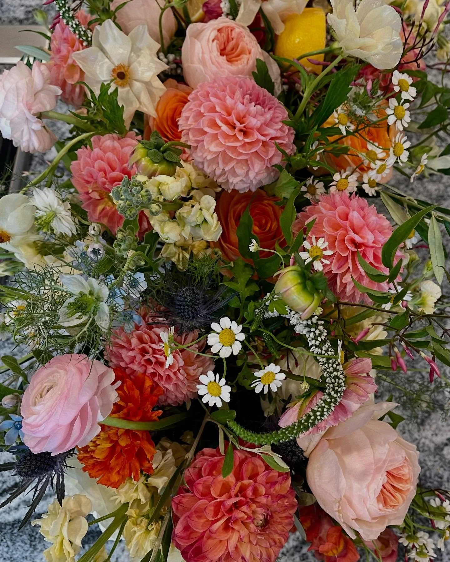 No two couples are alike.

From romantic gardens to grand ballrooms, every wedding reflects the people at the heart of it.

And the florals? They finish the story.💐

(@lotusfloralevents always understands the assignment.😉)

#janiesview #weddingfl