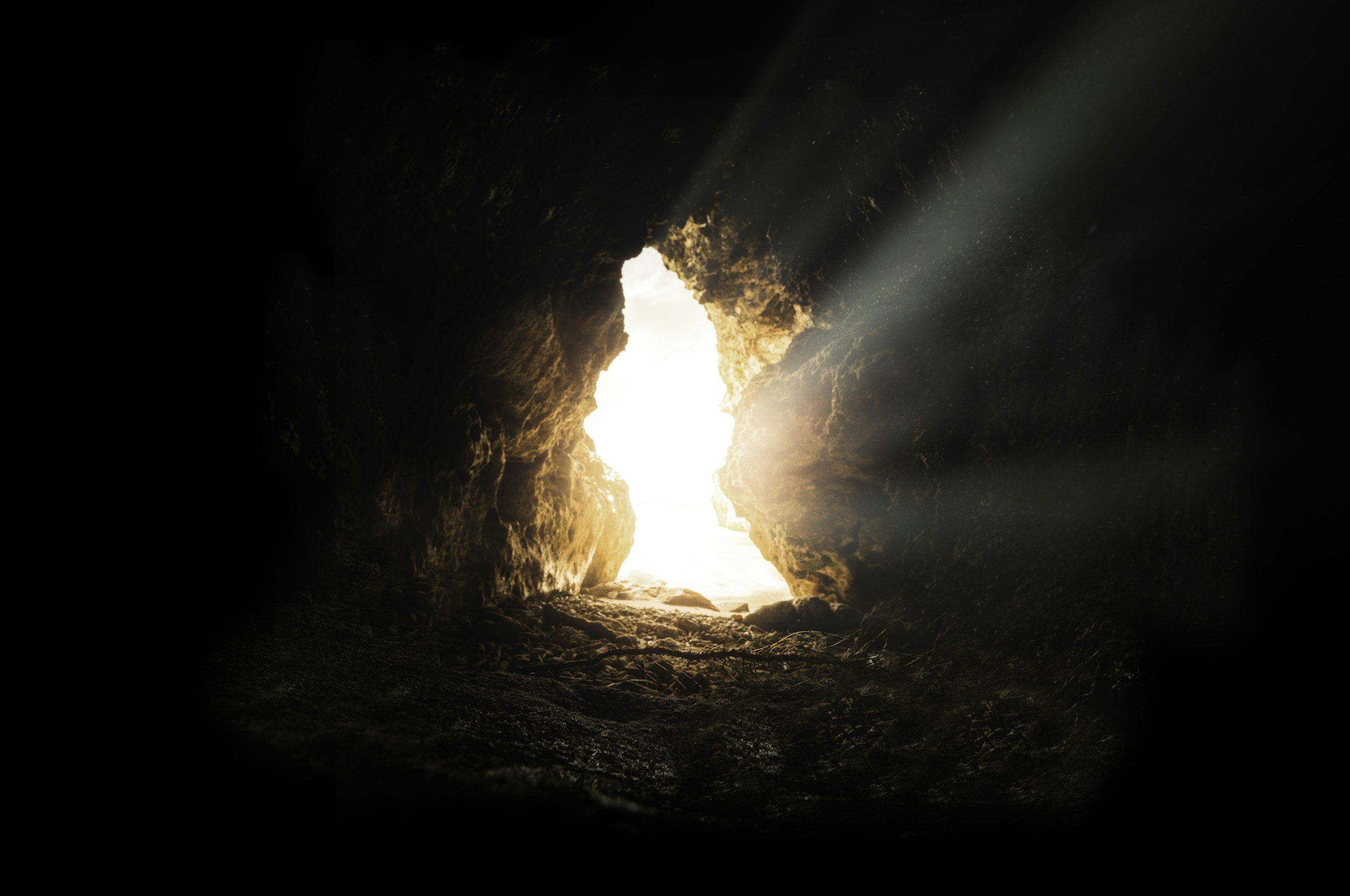 Easter sermon - The Fruit of Resurrection