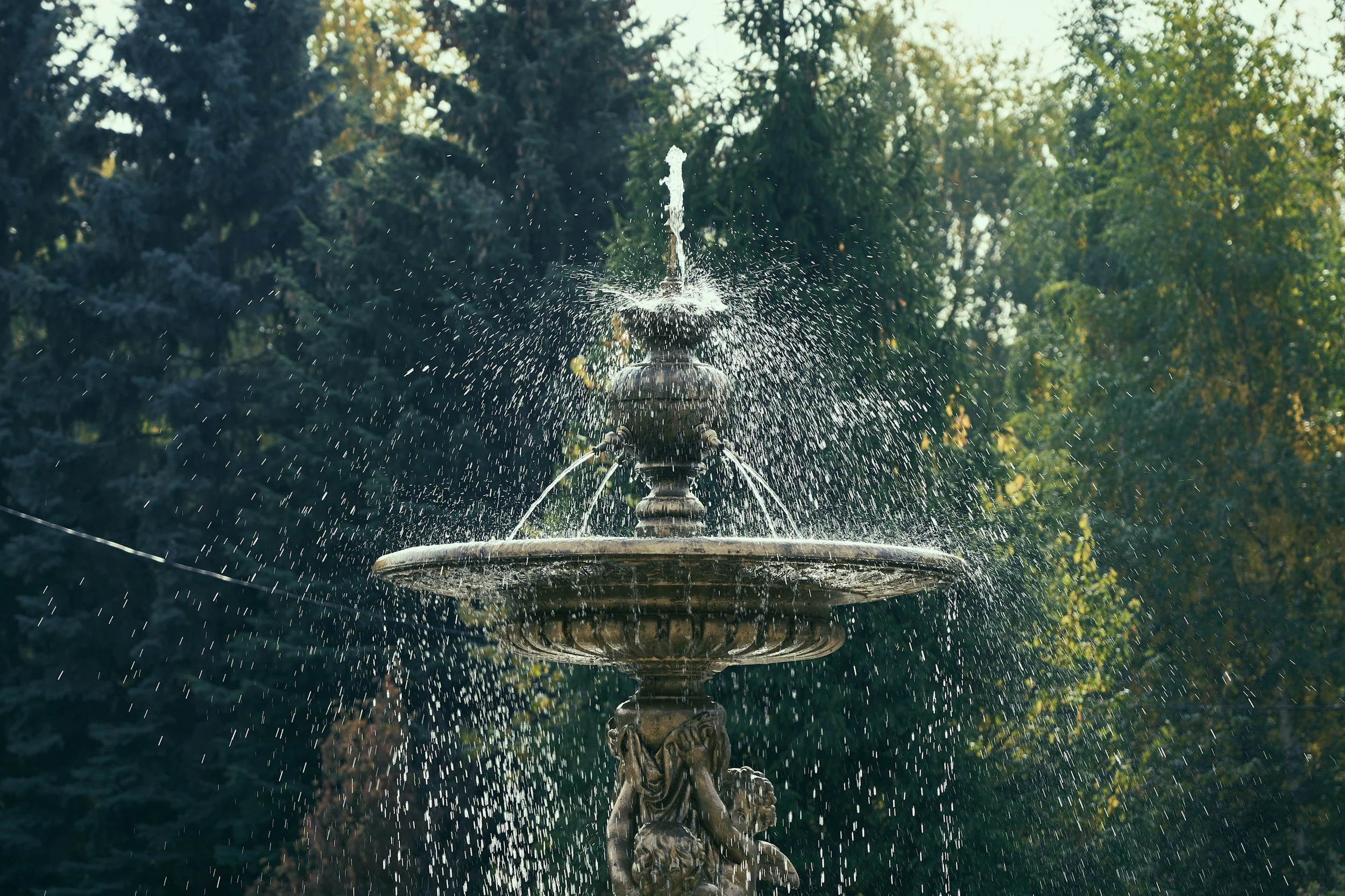 Let Your Fountain Be Blessed