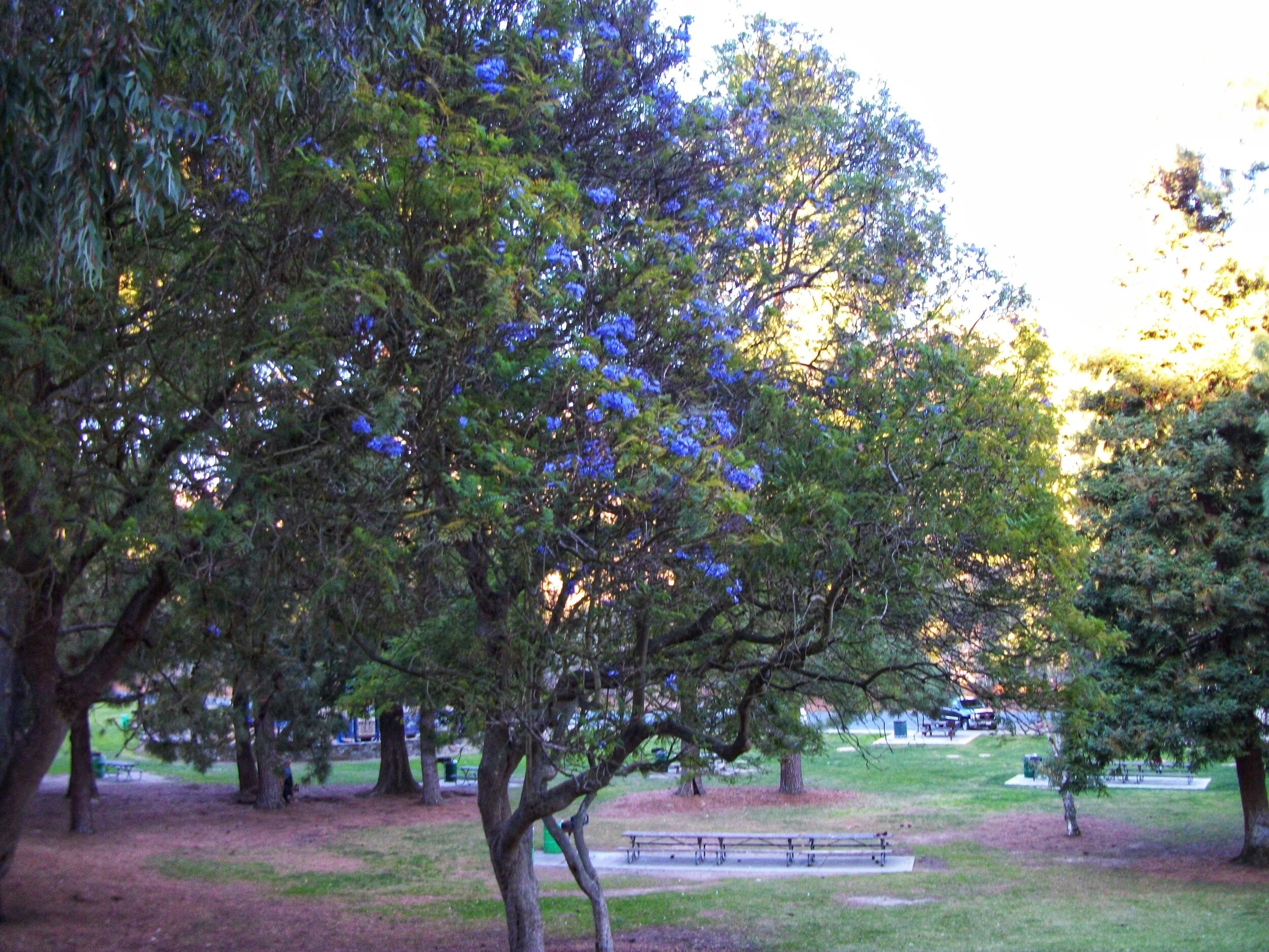 Arroyo Verde Park in Ventura, CA