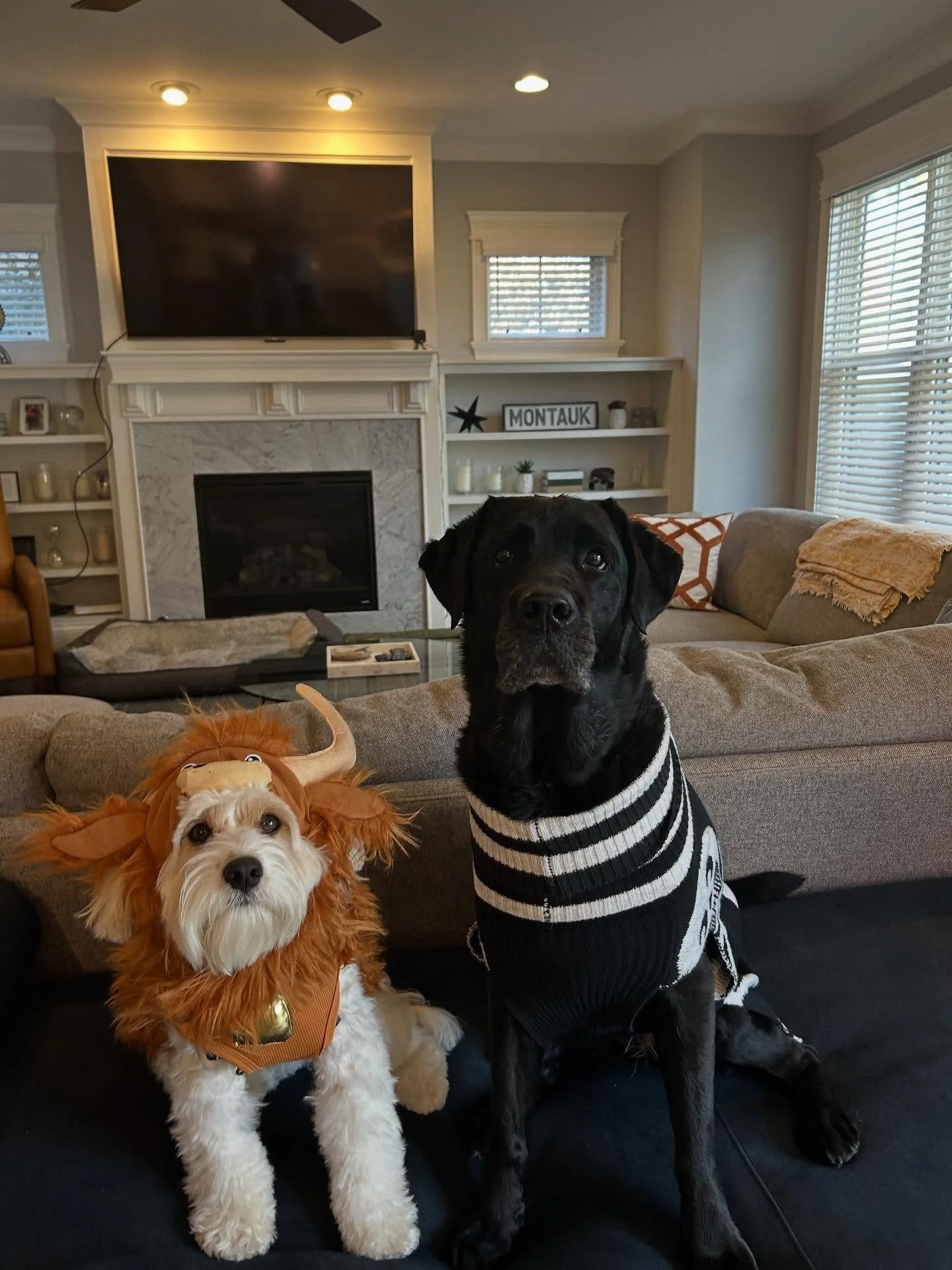 Happy Halloween from all of us at Pups on the Path! 🎃👻🐾