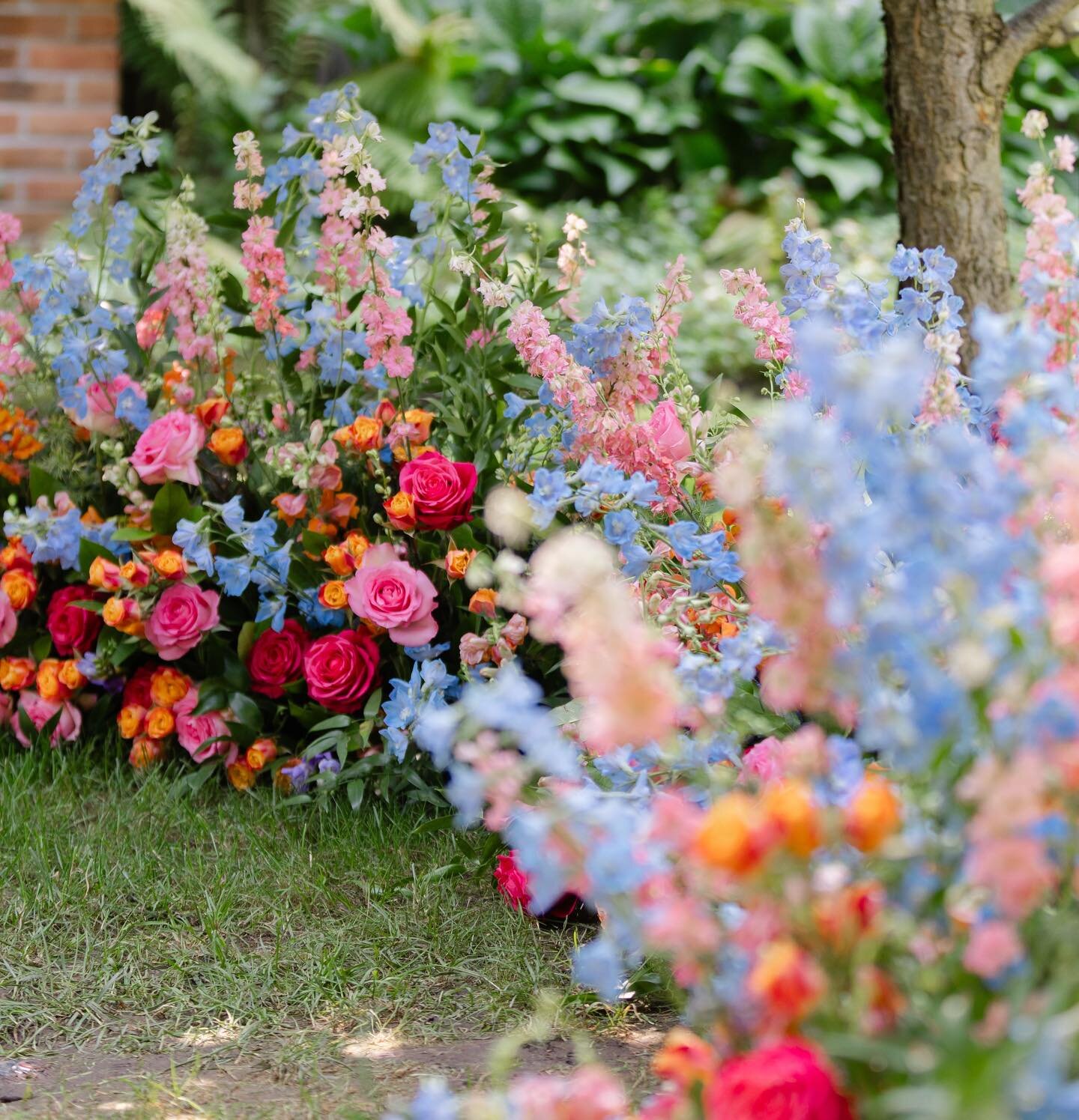 A sea of color 

Thank you 2023 for the nightly ones. Let&rsquo;s do it again next year!

Photography: @coryweber 
Planning and Design: @elsilueventplanning 
Floral Design: @florarae_