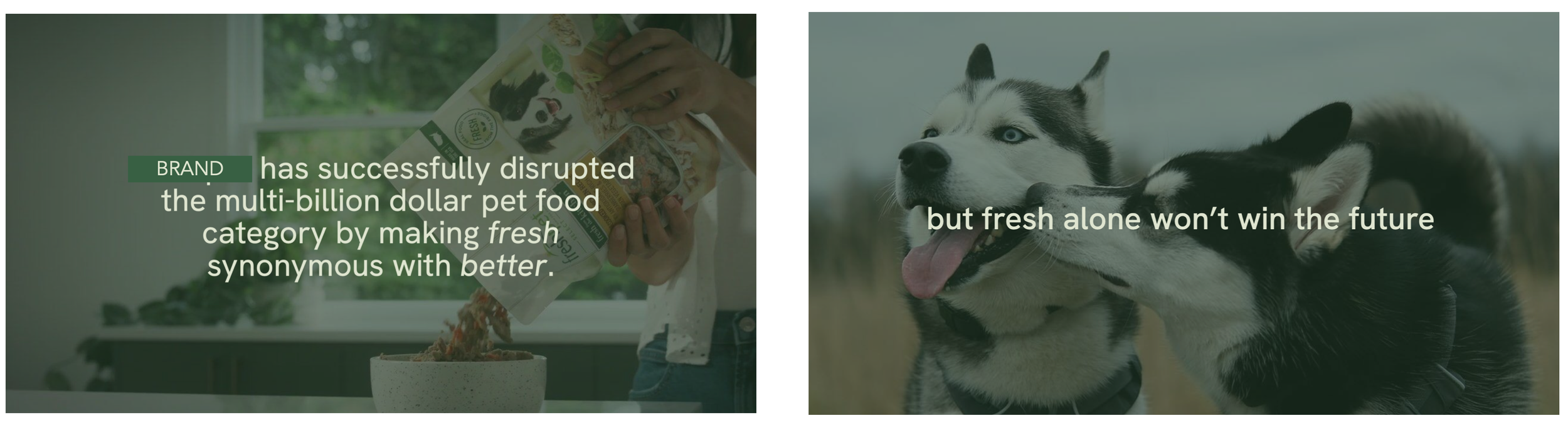 Screenshot 2026-02-13 at 11.06.23 AM.png