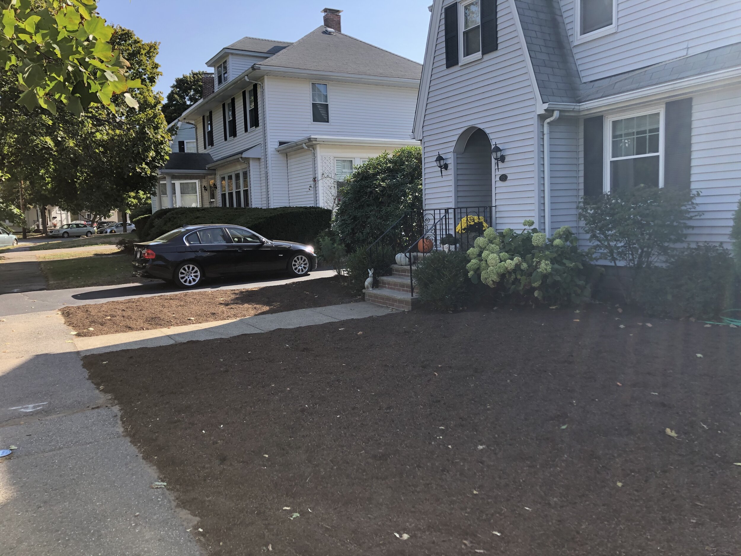 A blank canvas, just soil and some mulch.