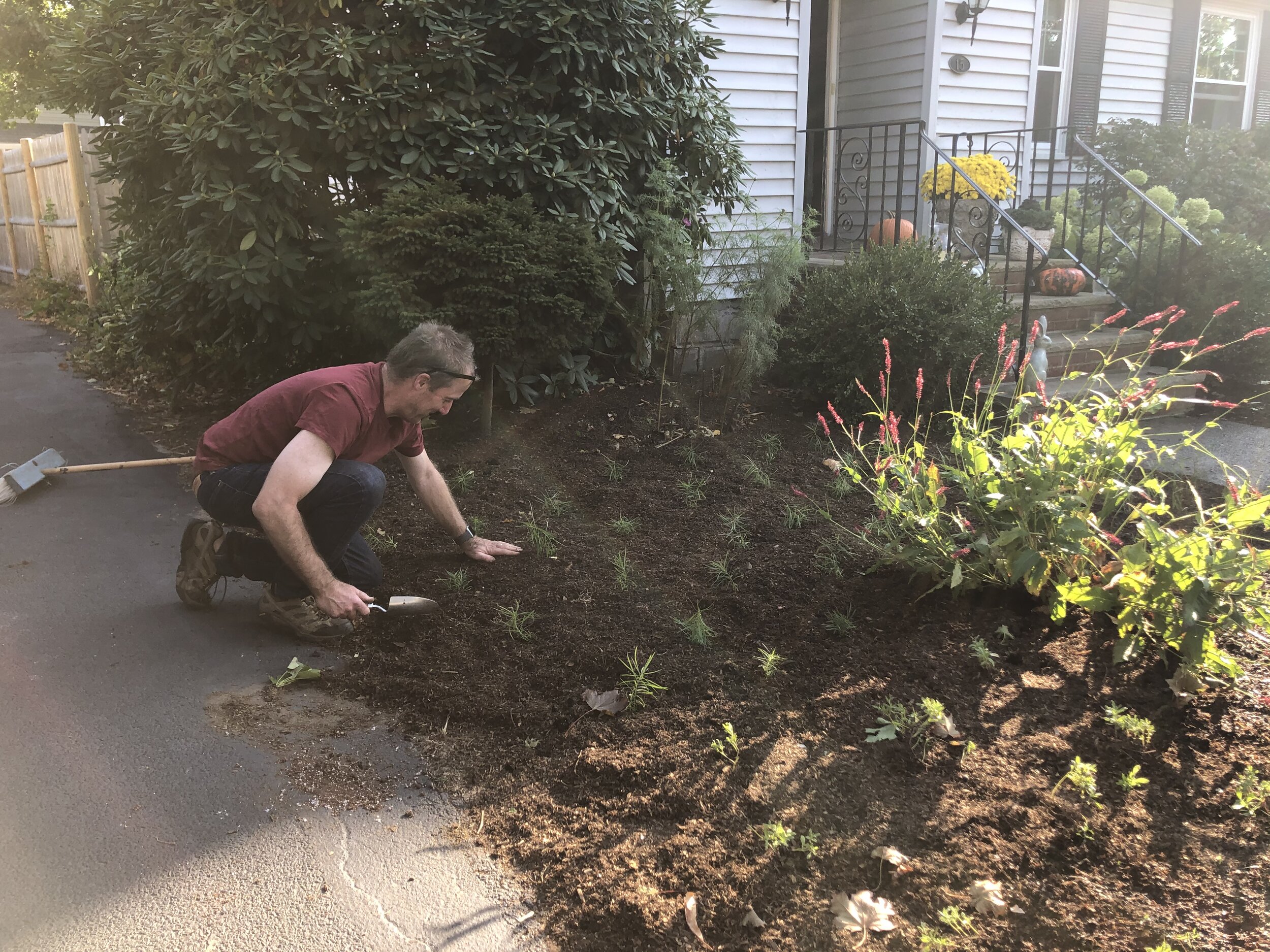 Planting Plugs