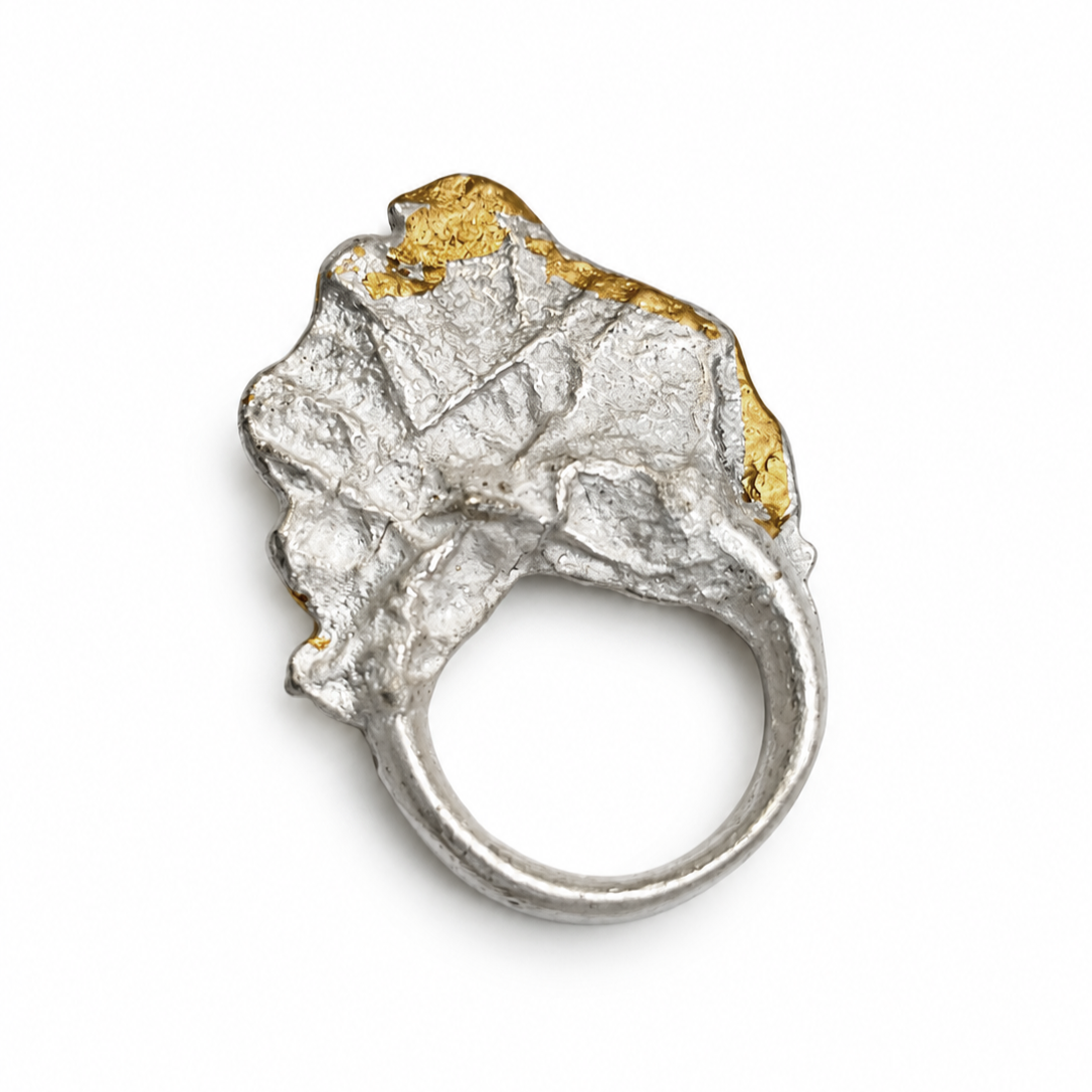 Ring+Keum+Book.png
