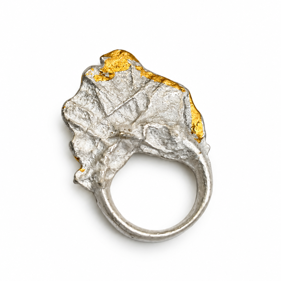 ring_white_background