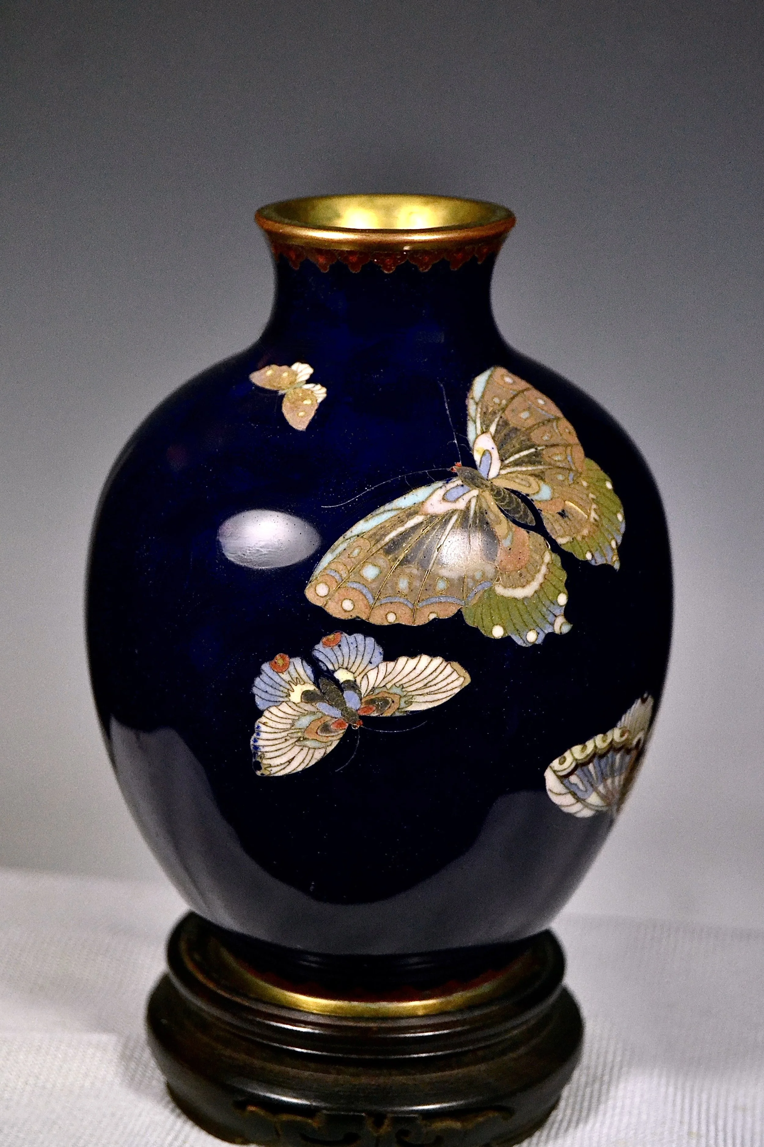 Fine Silver Wire Japanese Meiji Cloisonné Dark Blue Butterfly Vase