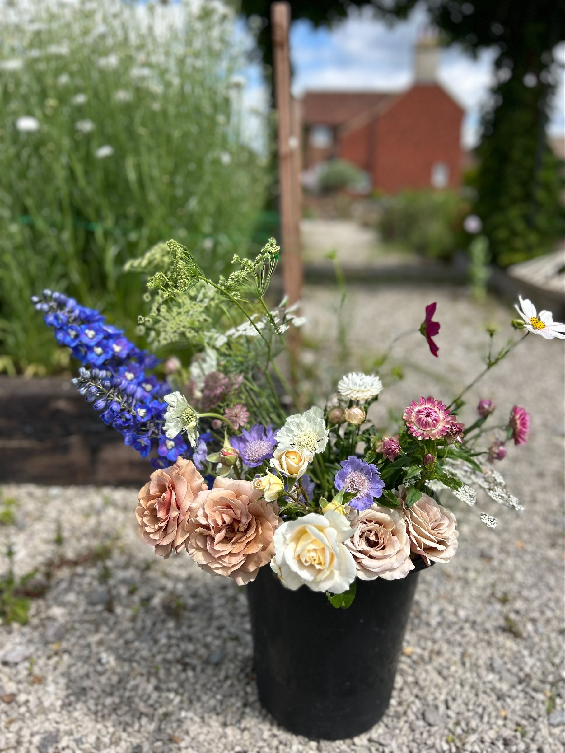 Sidnye Flowers PYO Flower Bucket.jpeg