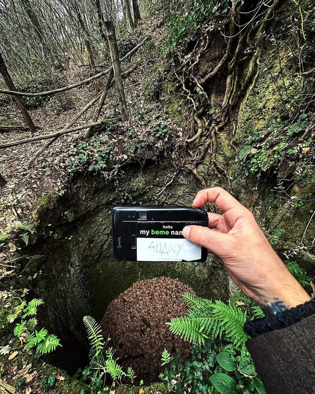 Person holds a camera with a note reading 'SHANNY' in front of a hollow tree trunk in a forest, surrounded by ferns and green foliage.