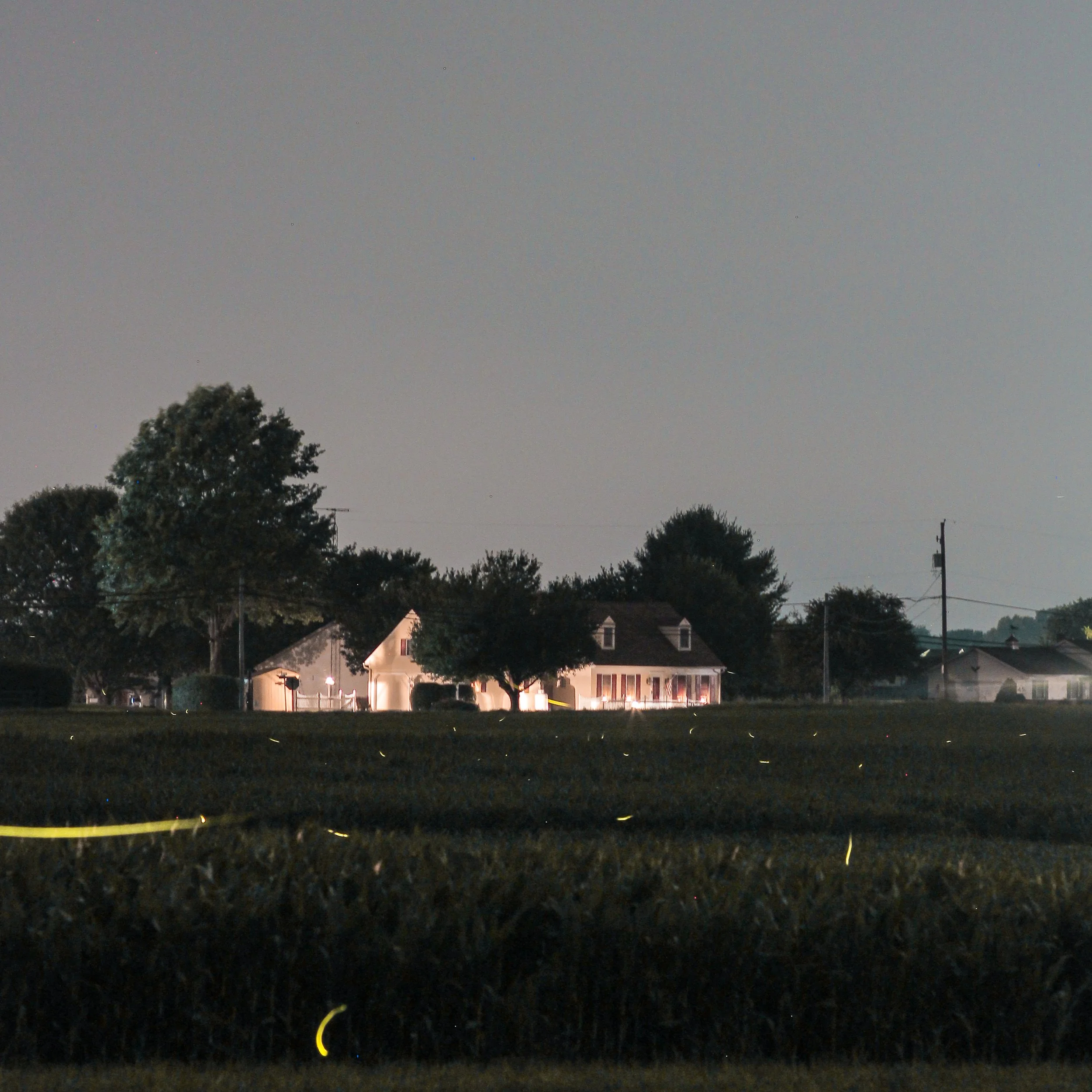 Nighttime scene of a suburban neighborhood with houses, trees, and power lines, under a clear, dark sky.