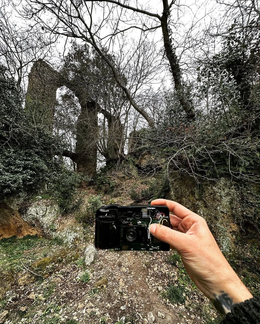 Person holding a camera taking a photo of a wooded forest with leafless trees and rocky terrain.
