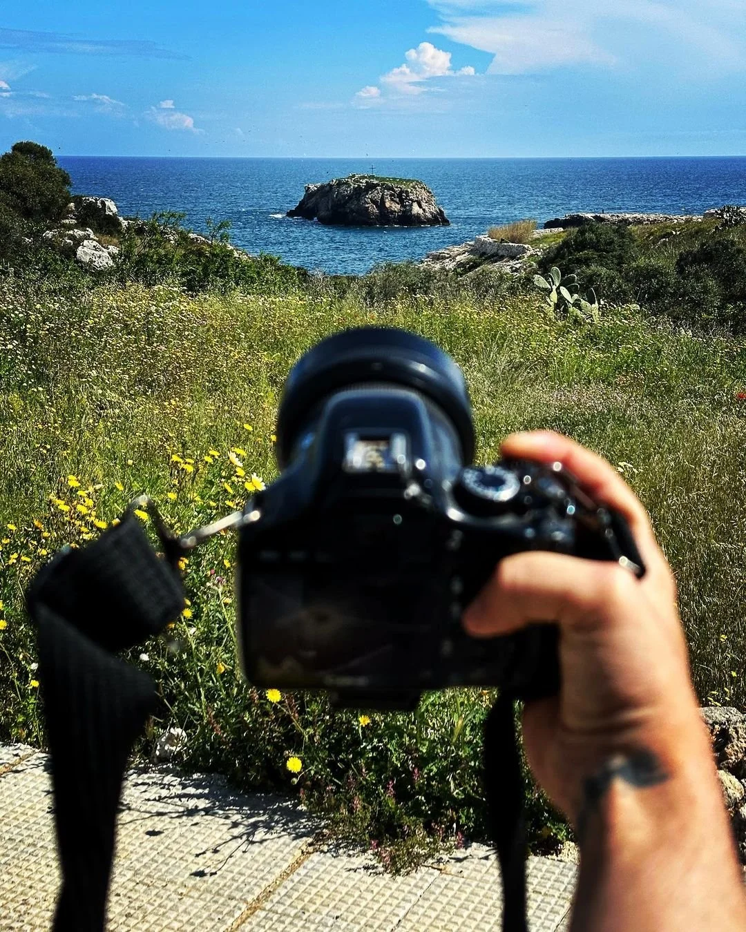 A person holding a camera takes a photo of a coastal landscape with a small island, grassy terrain, wildflowers, and the ocean under a blue sky with clouds.