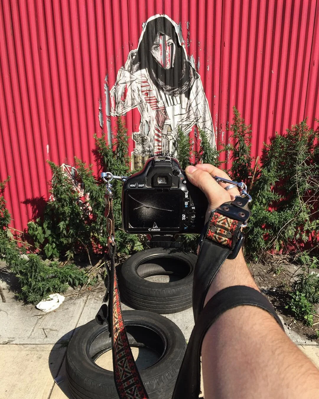 Photograph of a person holding a camera pointed at a street art mural on a red corrugated metal wall, featuring a line drawing of a woman with long hair, surrounded by green plants and two tires on the ground.