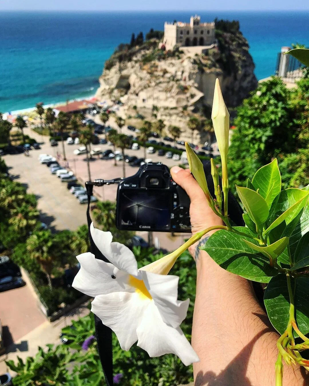 A hand holding a camera takes a photo of a scenic coastal landscape with a castle on a rocky hill, a parking lot, and the ocean in the background, with a white flower and green leaves in the foreground.