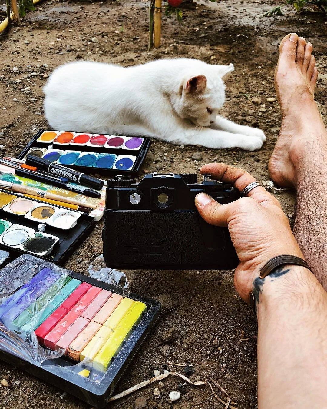 A person taking a picture of a white cat lying on the ground surrounded by painting supplies, including watercolors, brushes, and chalk pastels.
