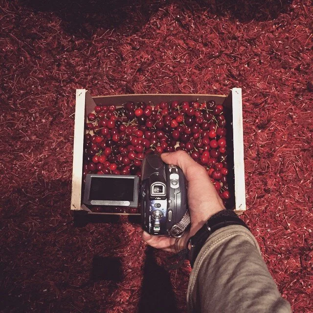 Hand holding a camera over a box of cherries on red soil.