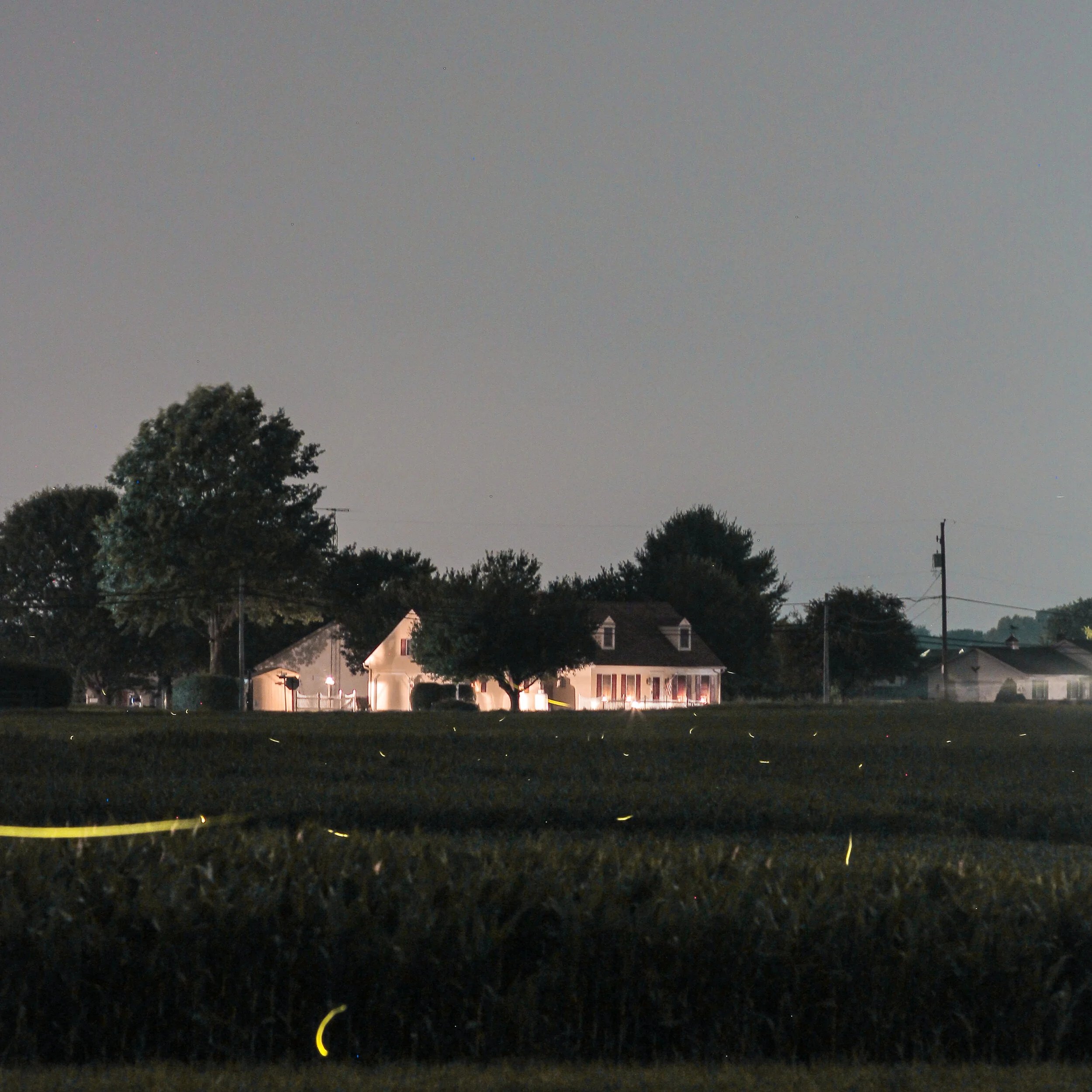 Nighttime scene with dark silhouettes of trees and houses, clear sky with visible stars, and a faint glow from the moon.
