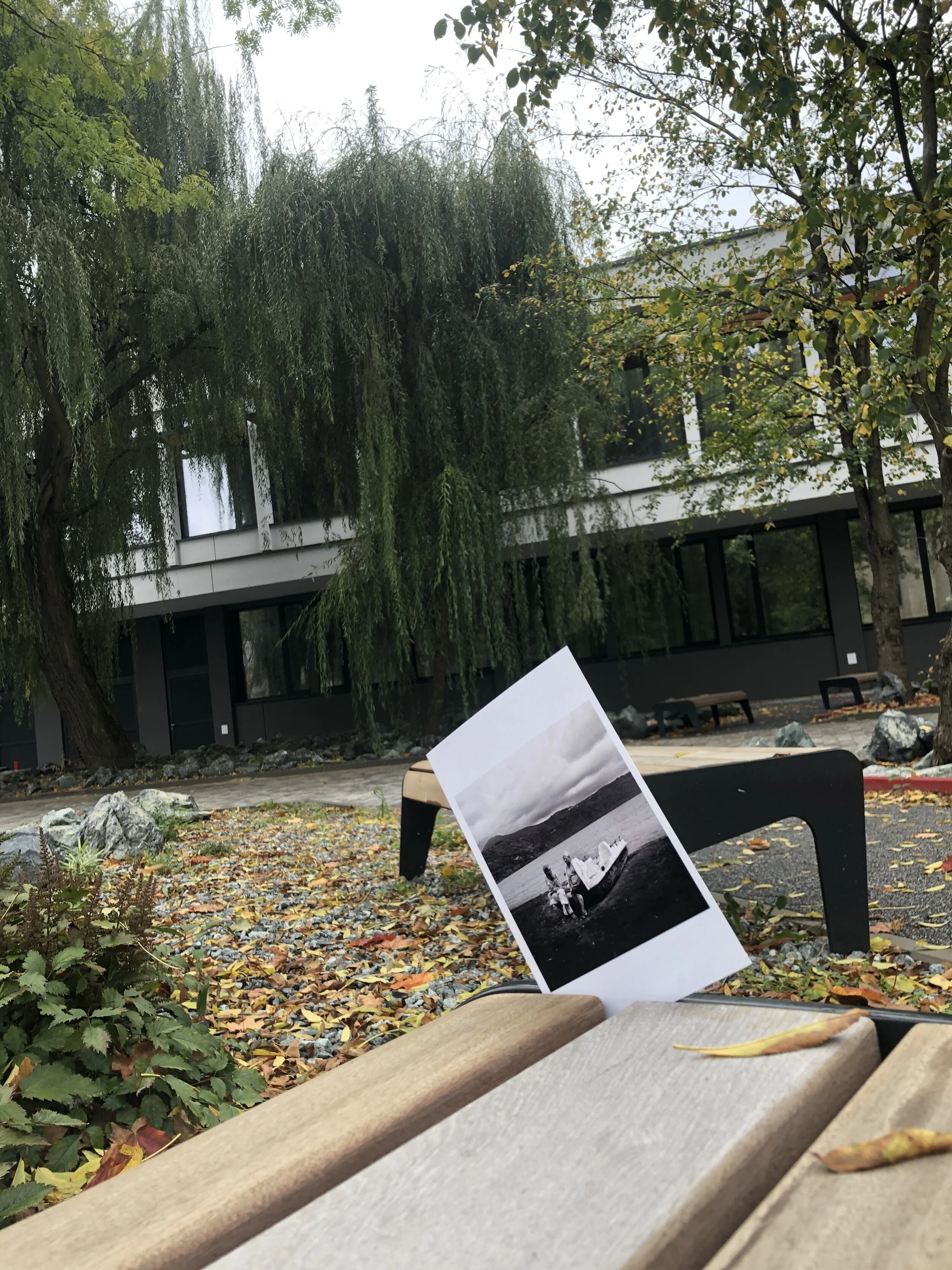 A park bench with a black and white photograph attached, showing people near water, surrounded by trees with green and yellow leaves, fallen leaves on the ground, and a modern building in the background.