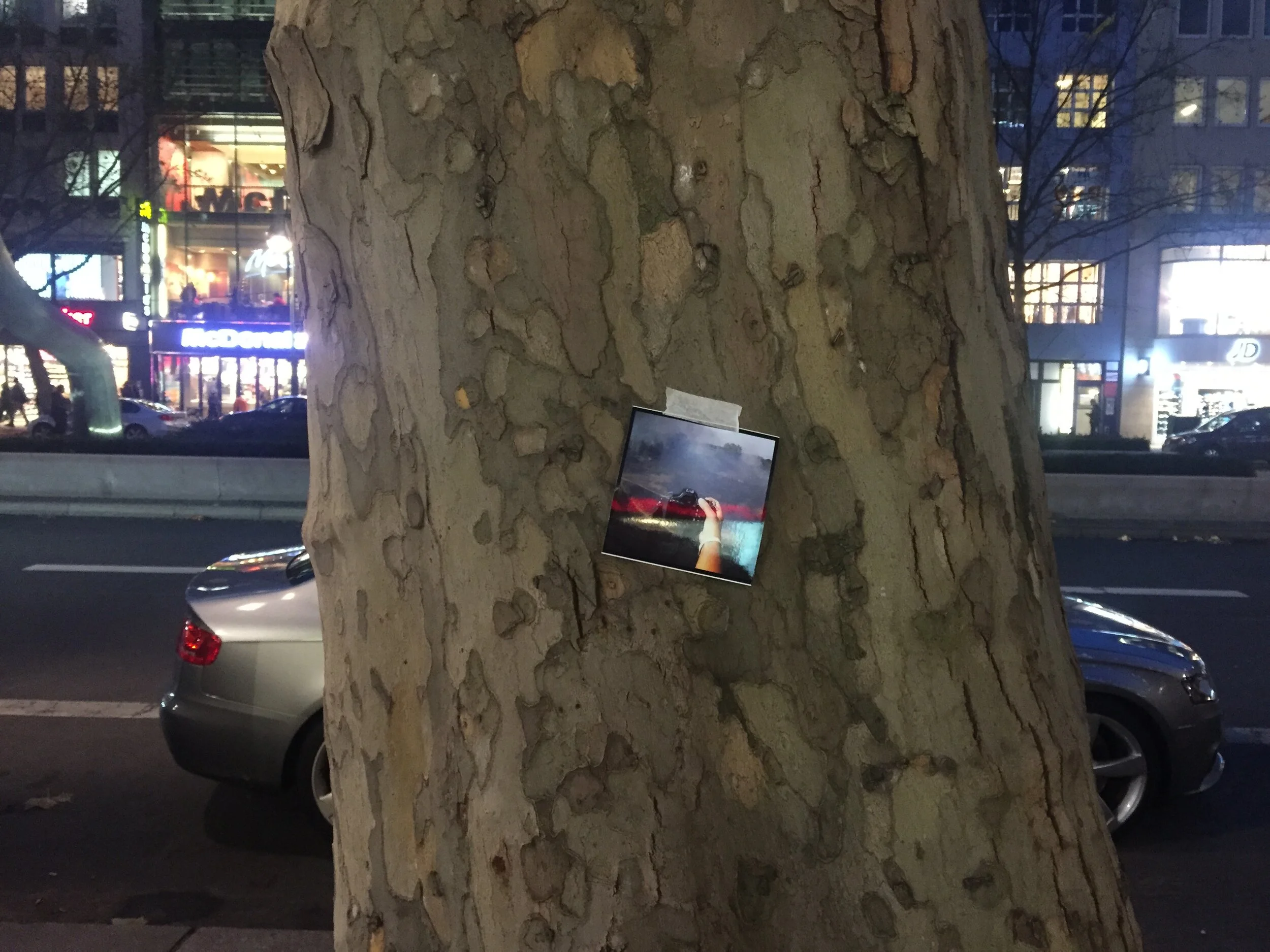 A large tree trunk with textured bark in an urban area at night, with visible buildings and store signs in the background, including a McDonald's.