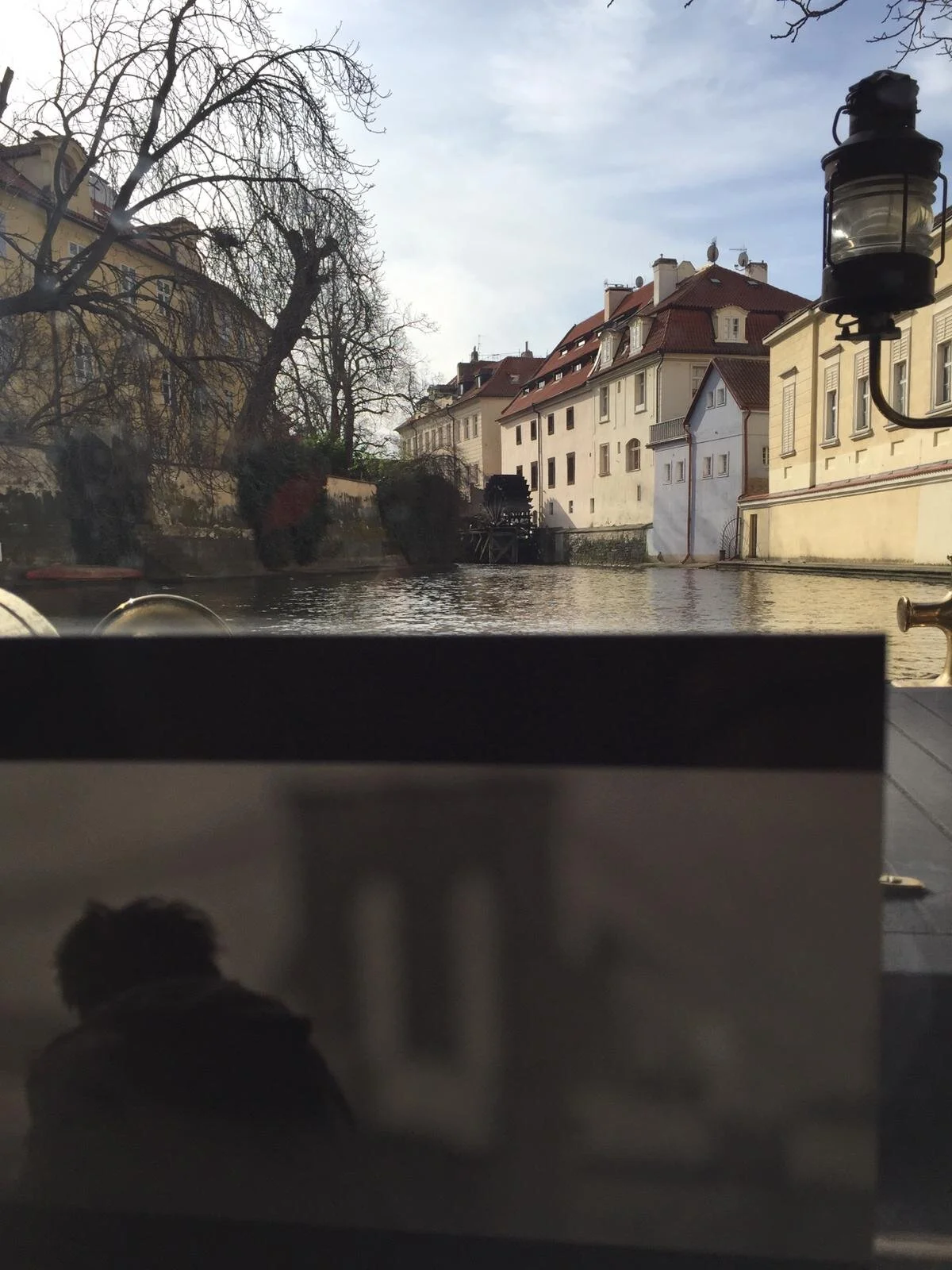 View of historic buildings along a river, with leafless trees and a cloudy sky, seen from inside a boat or a window.