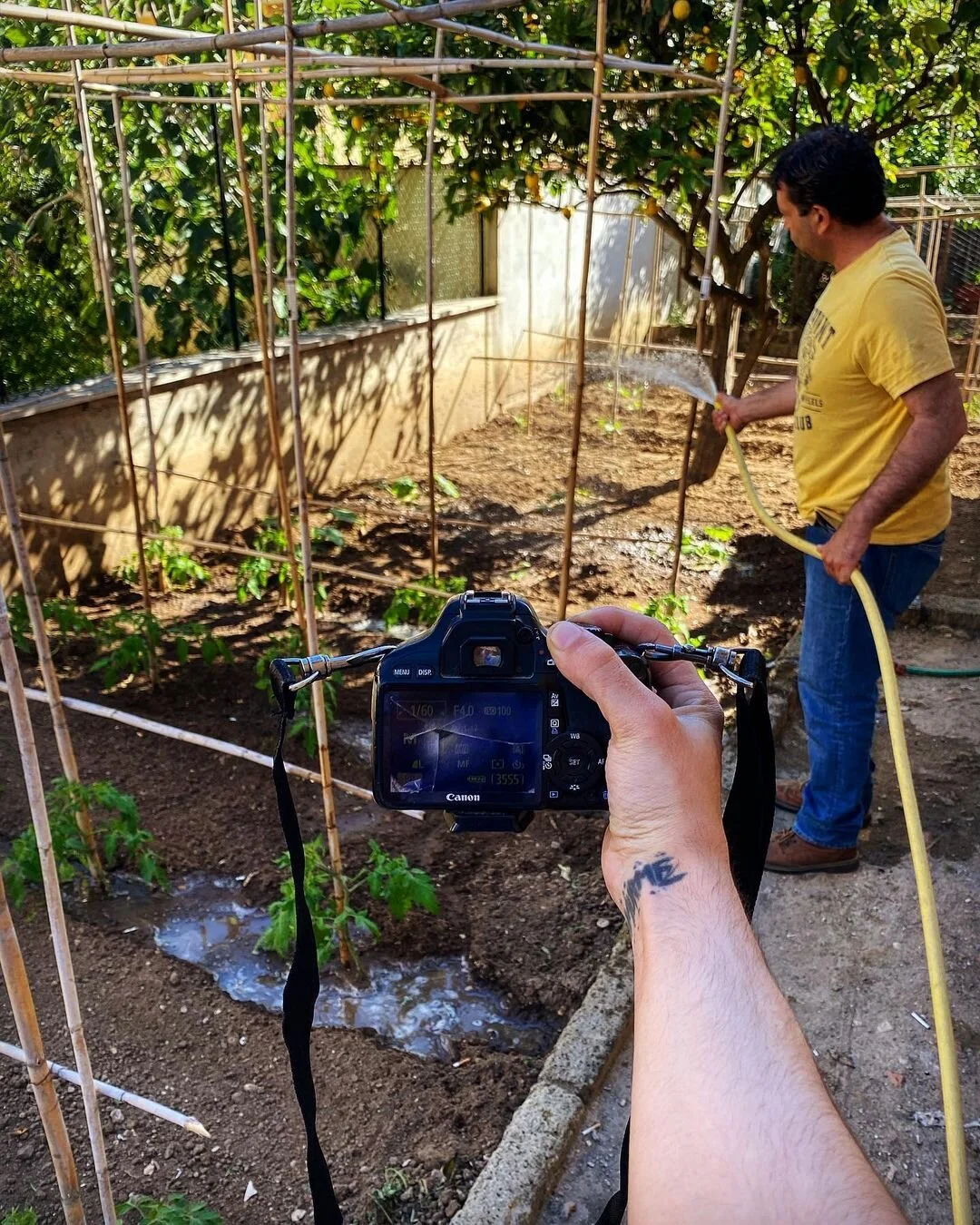 A person watering a garden with a yellow garden hose, while another person's hand holds a camera taking a picture of them. The garden has small plants and is supported by wooden stakes, with trees in the background.