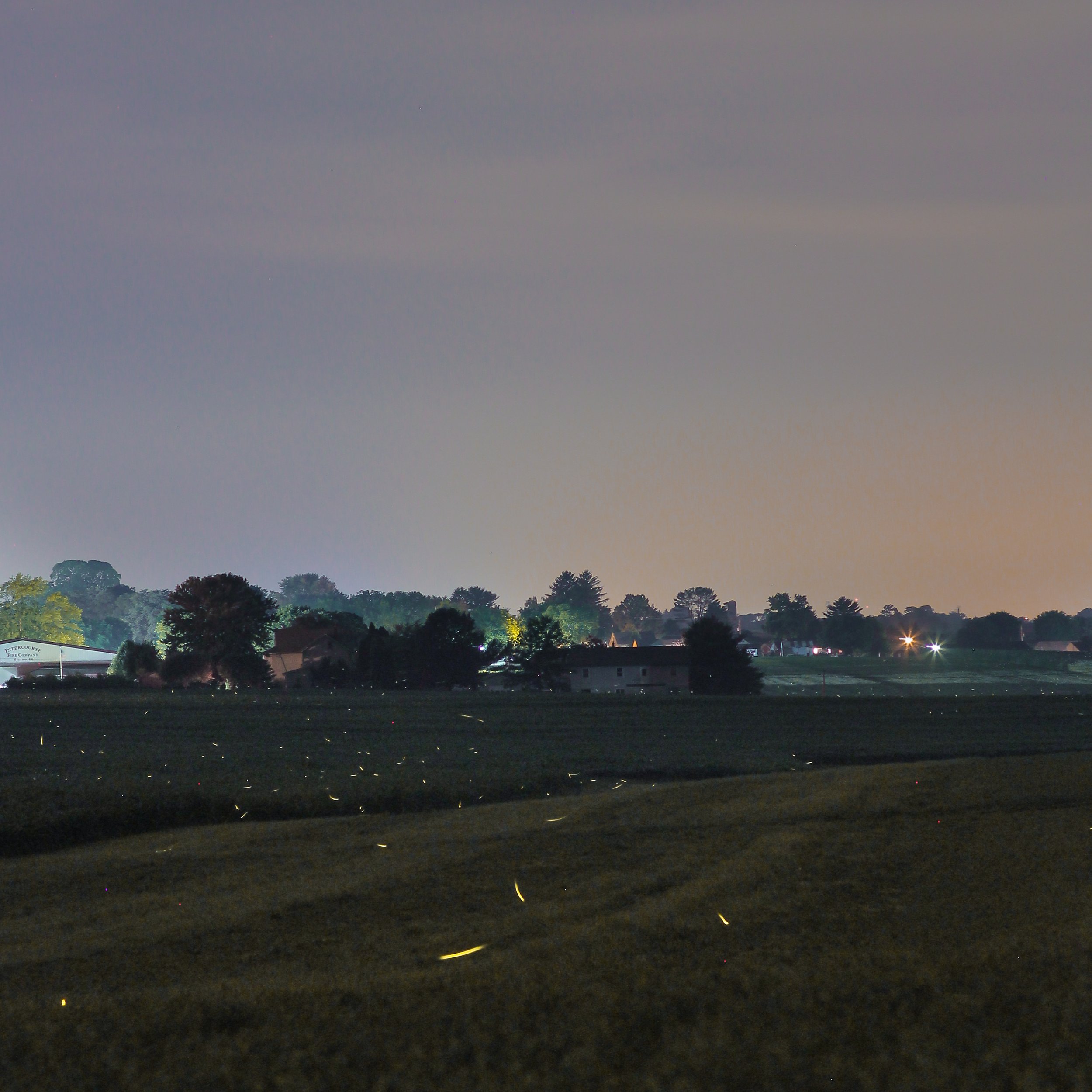 Nighttime view of a residential area with trees, houses, and a sky with some clouds and celestial objects.