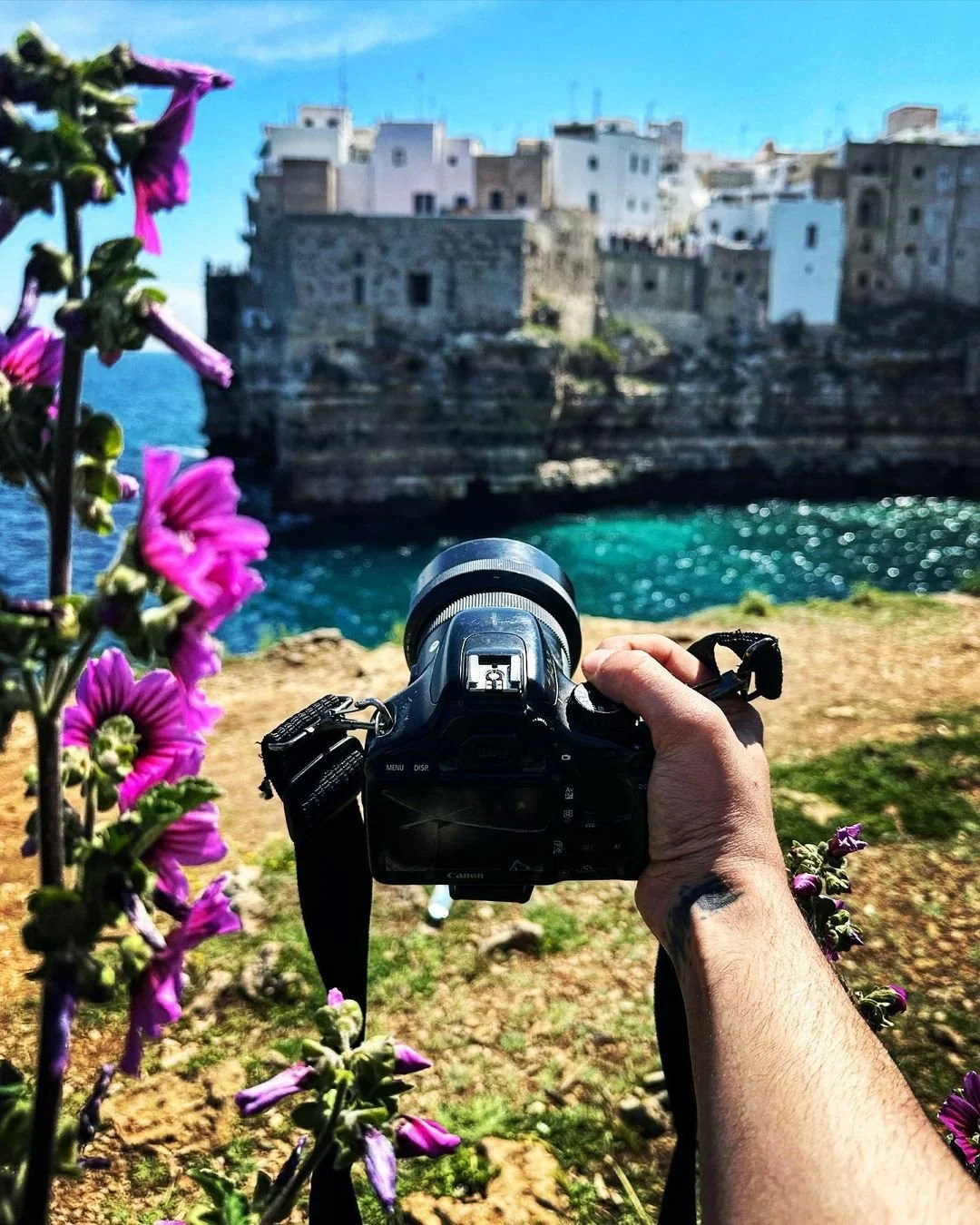 A person taking a picture of a coastal village with a digital camera, framed by purple flowers in the foreground and buildings on a cliff overlooking the ocean in the background.