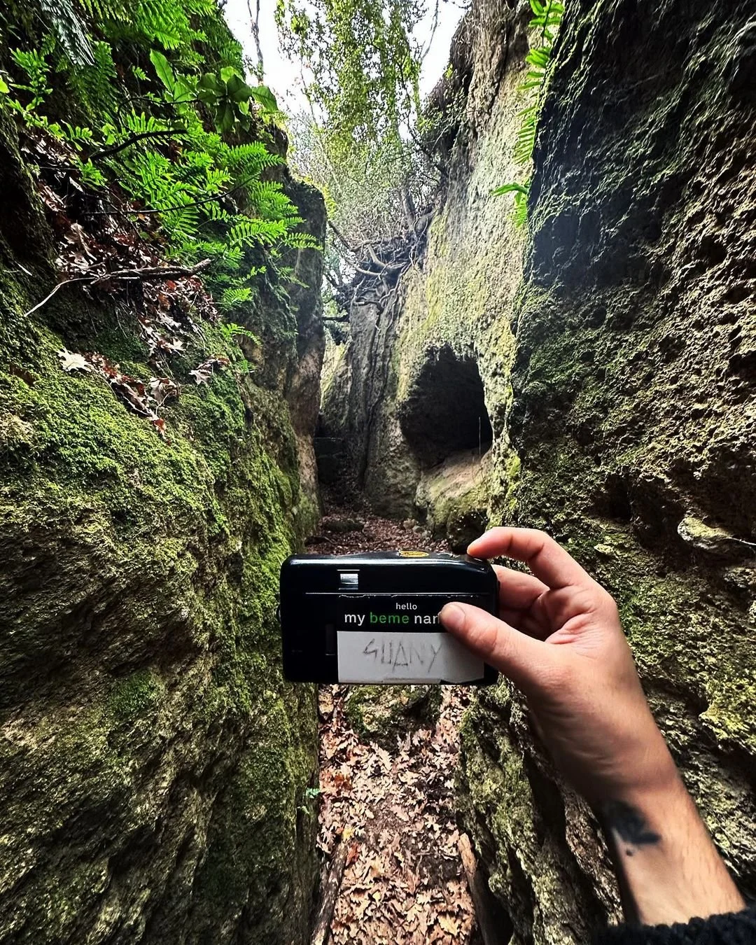 Person holding a camera with a name tag in a mossy, rocky crevice surrounded by green ferns and vegetation.