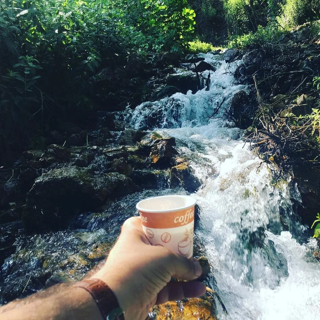 A person holding a paper coffee cup with a stream running over rocks in a lush green forest.