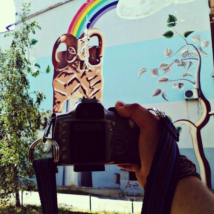 A mural of two lions with a rainbow, a cloud, and a stylized tree painted on a wall, with a person holding a camera in front.