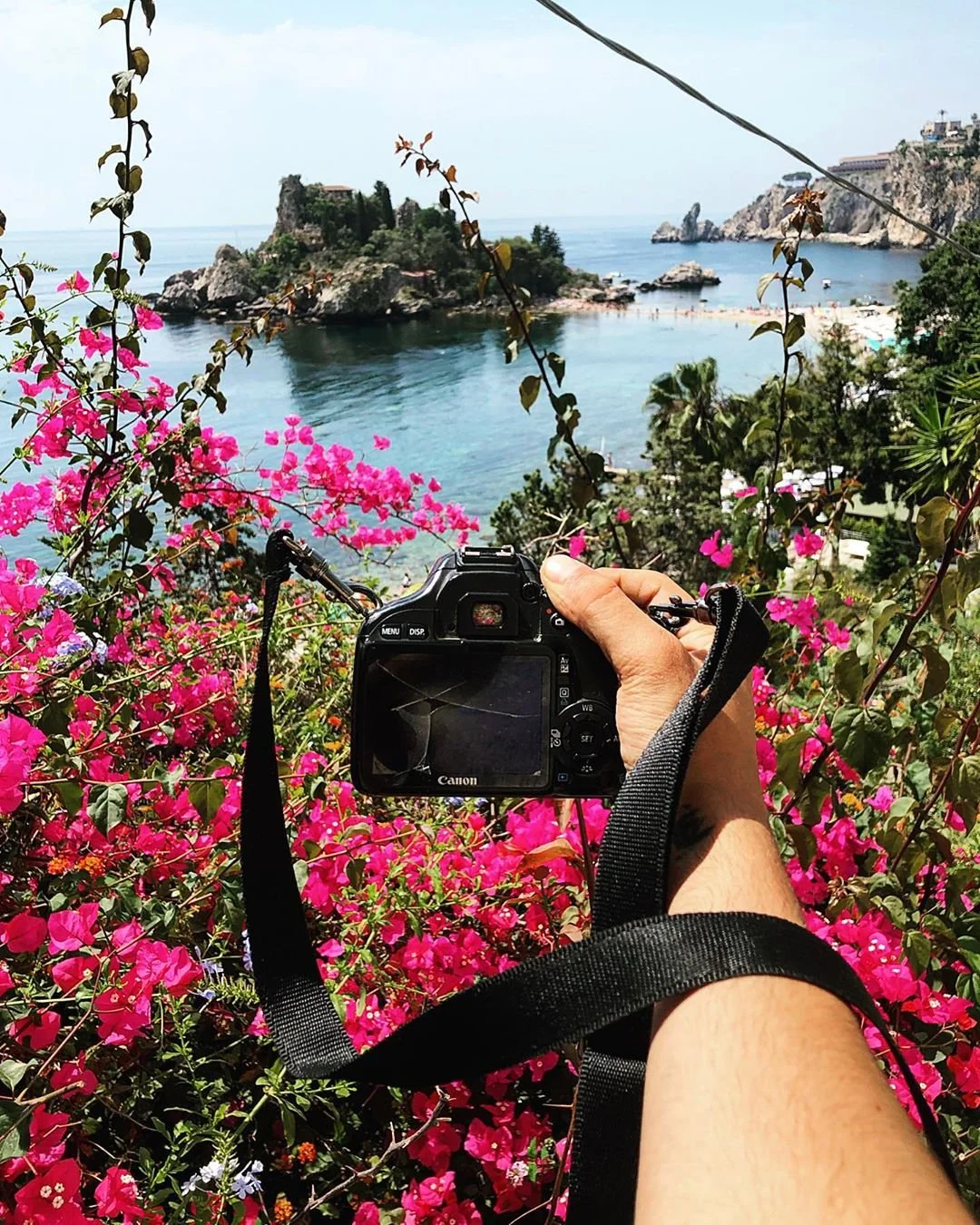 A camera held by a person taking a picture of a scenic coastal landscape with pink flowers in the foreground, a small island, rocky cliffs, and the sea in the background.