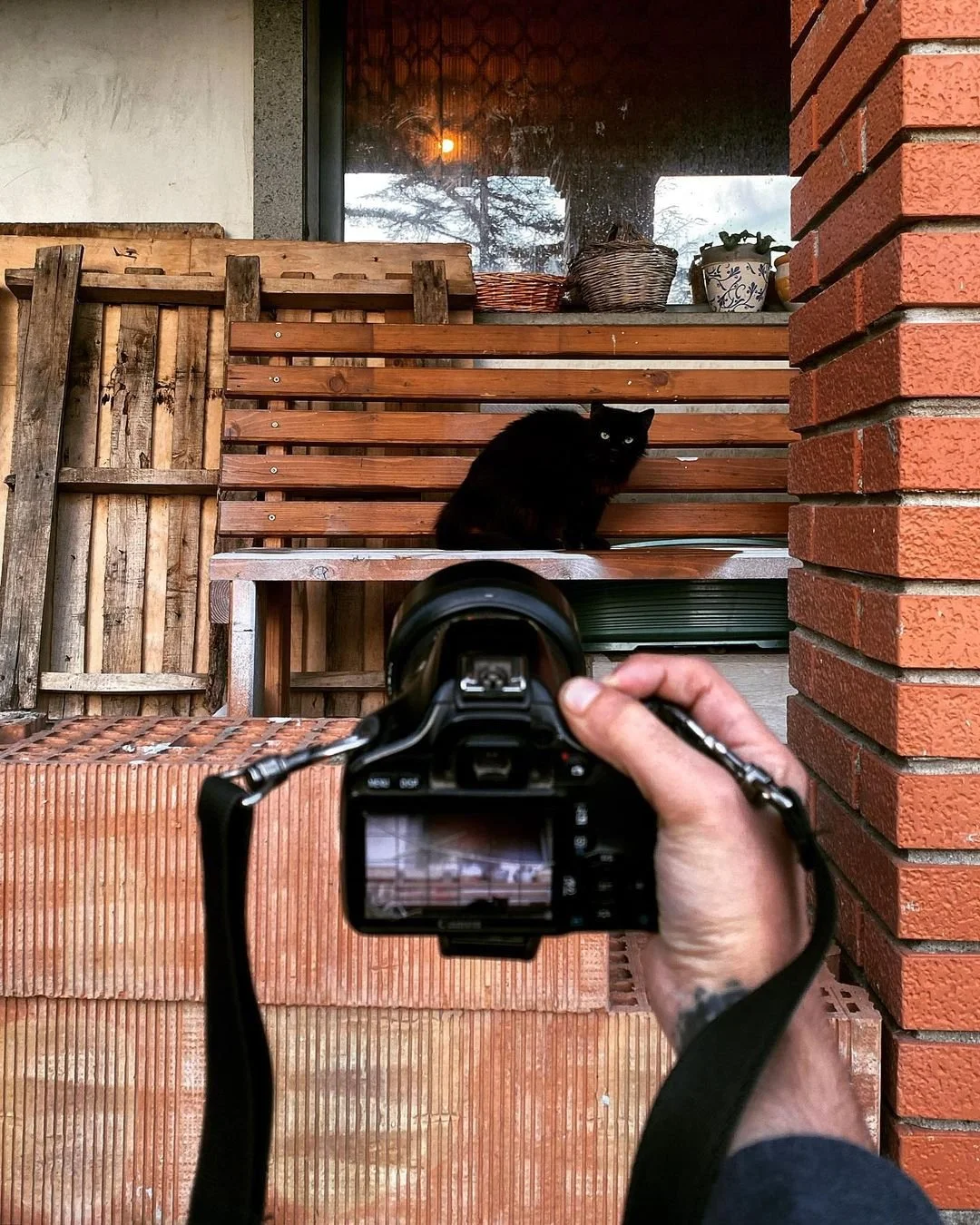 A person taking a photograph of a black cat sitting on a wooden bench on a porch, with a brick wall on the right and a wooden fence on the left, in front of a window, during daytime.