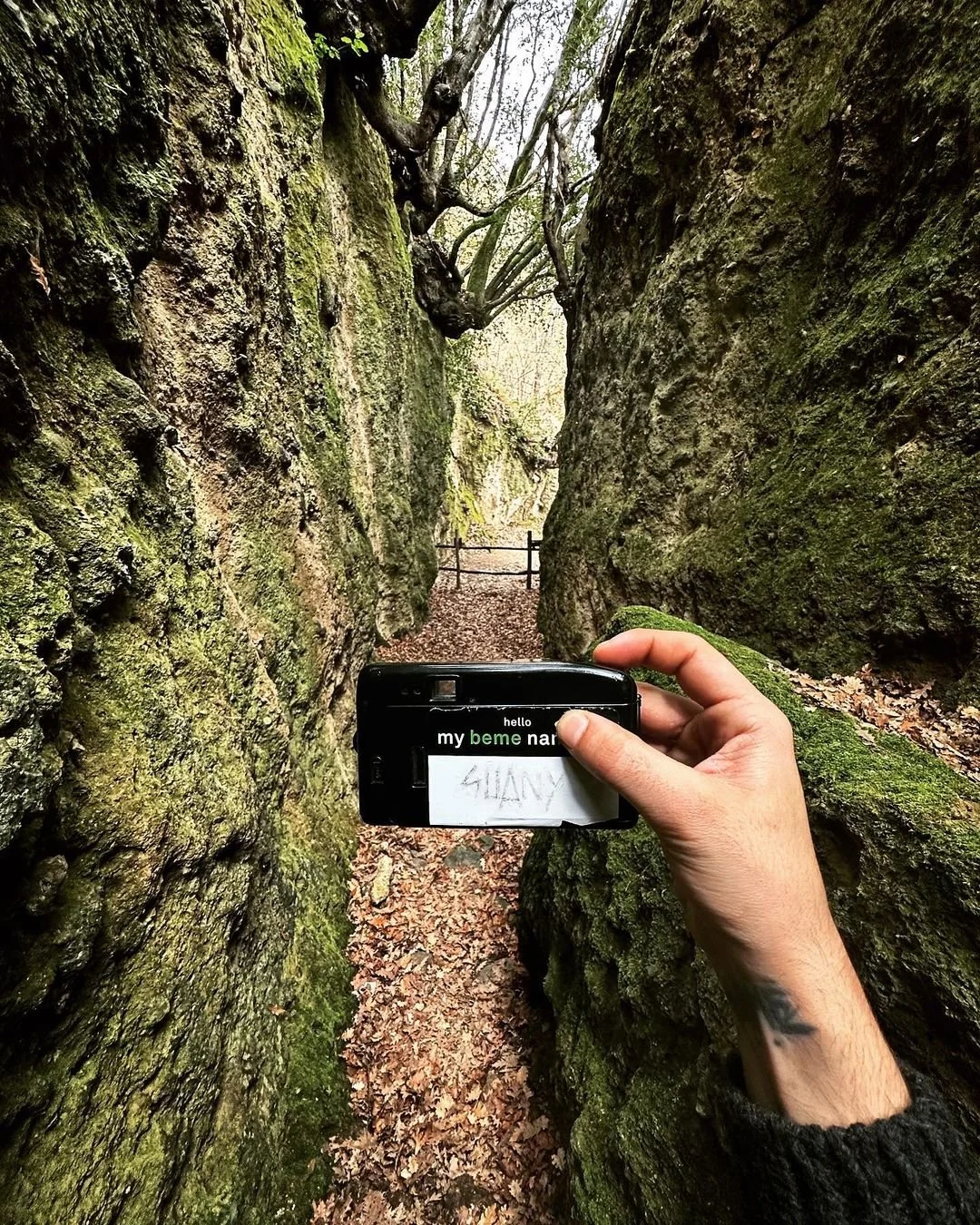 Person holding a camera taking a picture in a narrow moss-covered rocky crevice with a leaf-covered ground and a wooden fence in the background.